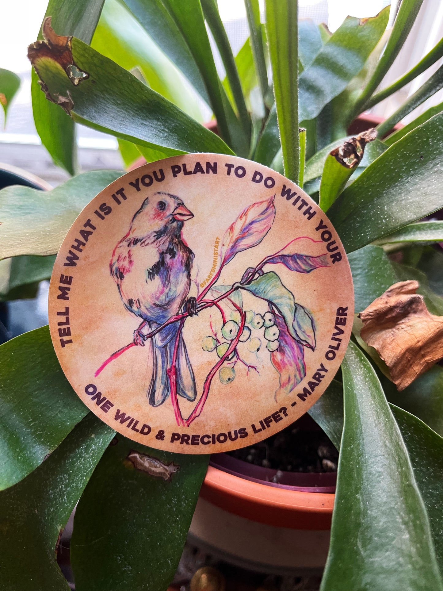 Tell me what is you plant to do with your one wild & precious life, Mary Oliver: Feminist Sticker