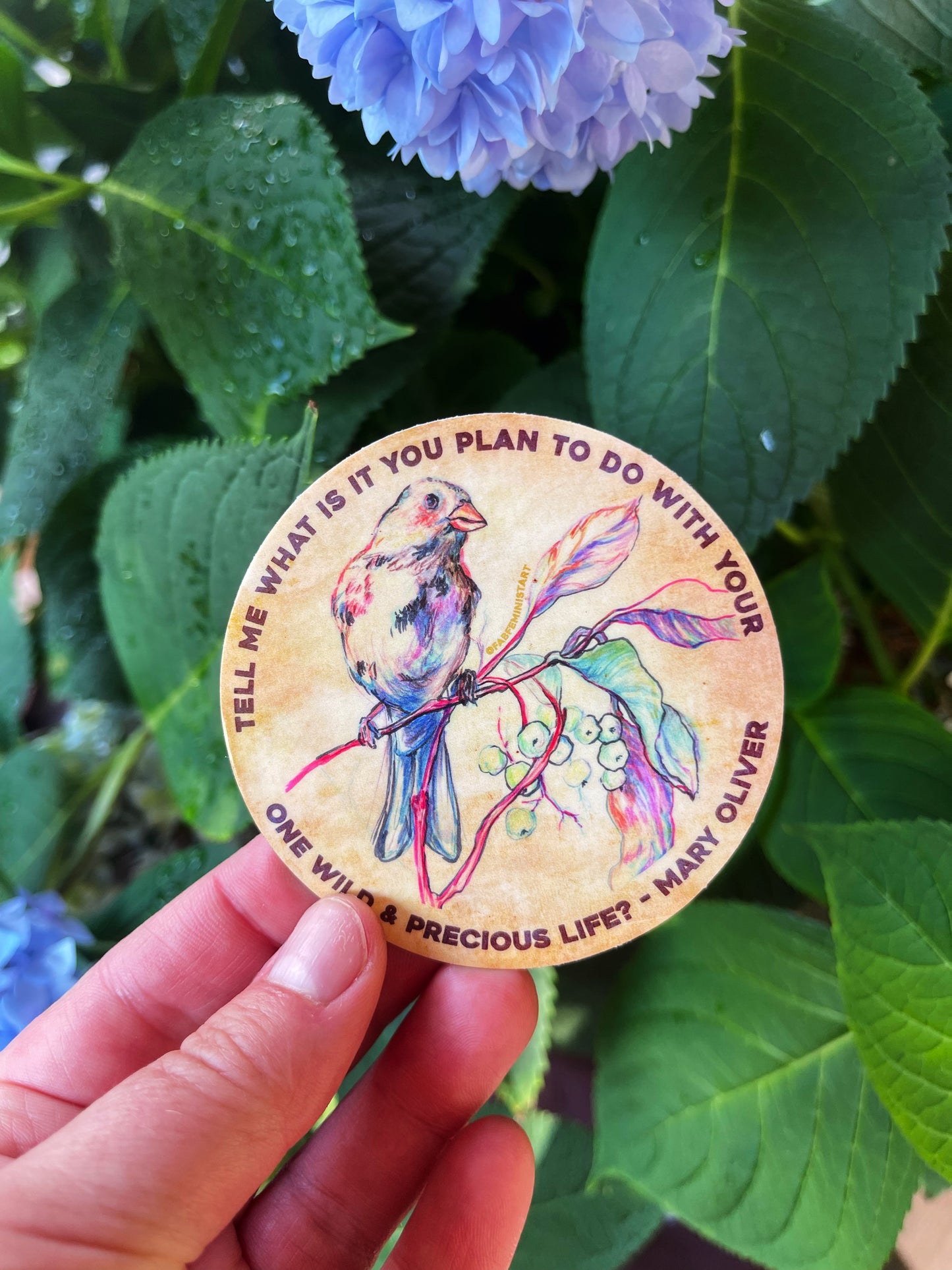 Tell me what is you plant to do with your one wild & precious life, Mary Oliver: Feminist Sticker