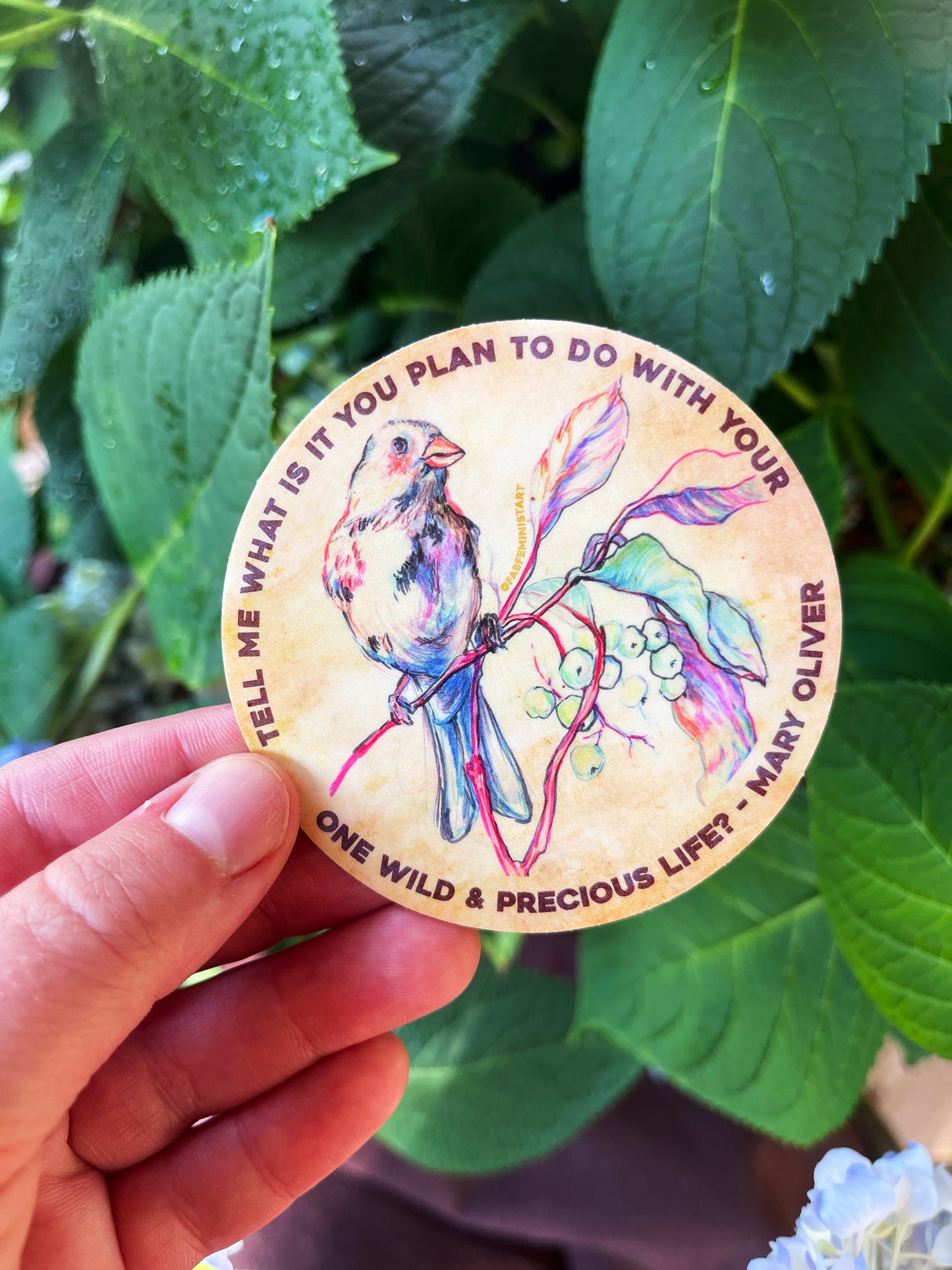 Tell me what is you plant to do with your one wild & precious life, Mary Oliver: Feminist Sticker