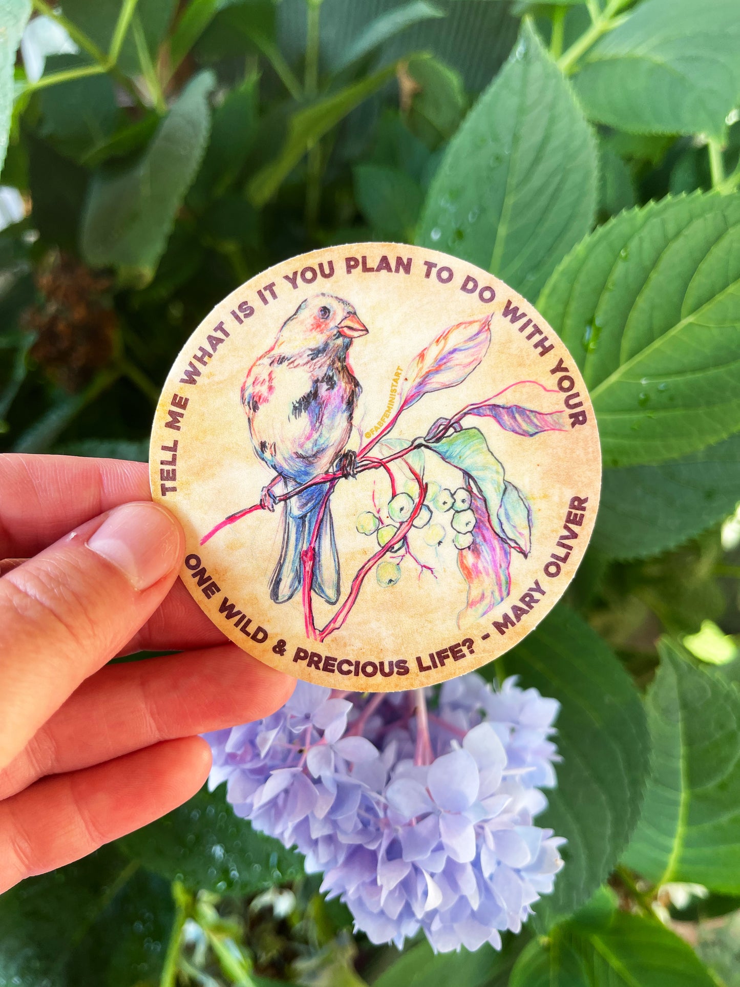 Tell me what is you plant to do with your one wild & precious life, Mary Oliver: Feminist Sticker