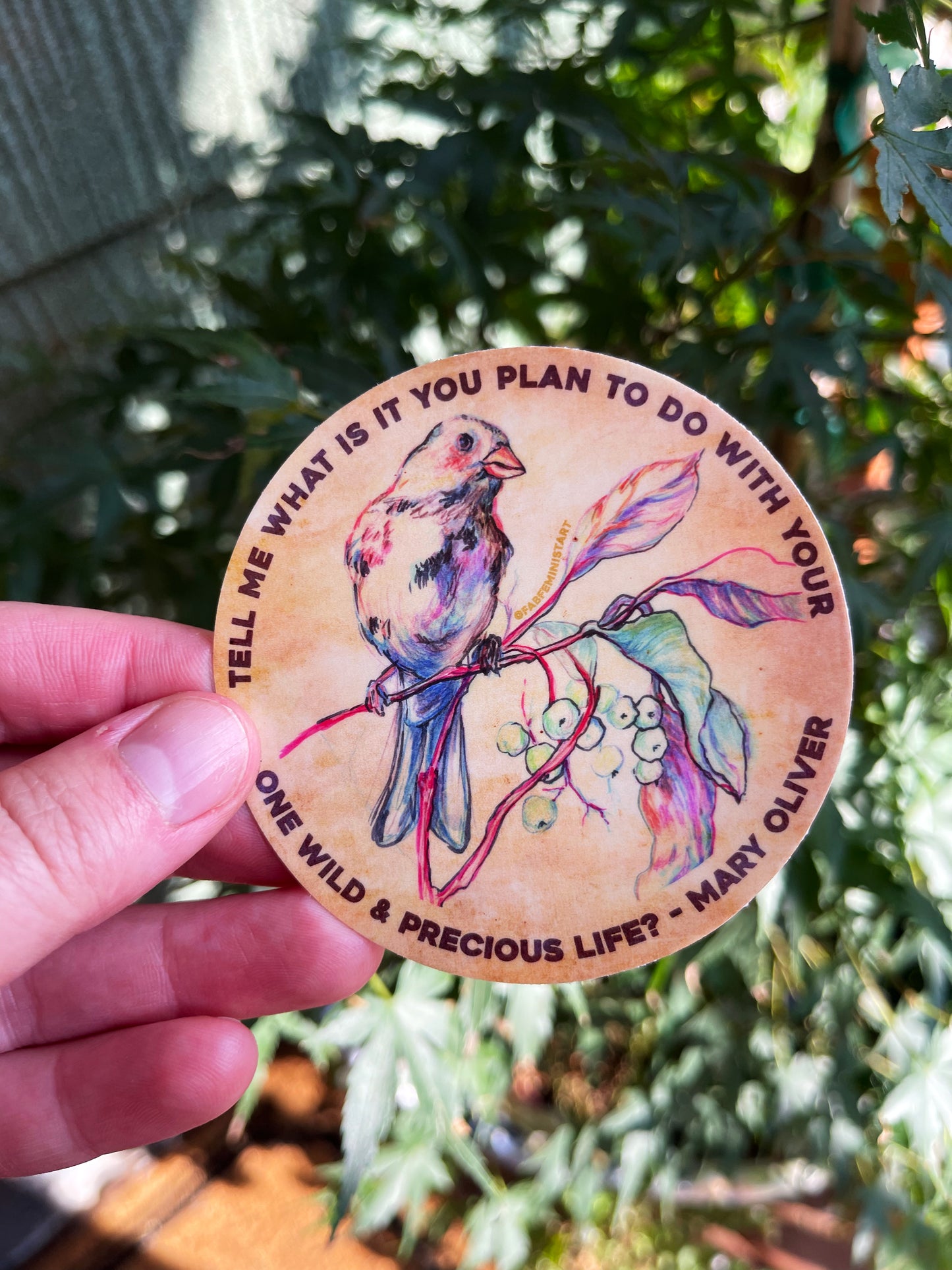Tell me what is you plant to do with your one wild & precious life, Mary Oliver: Feminist Sticker