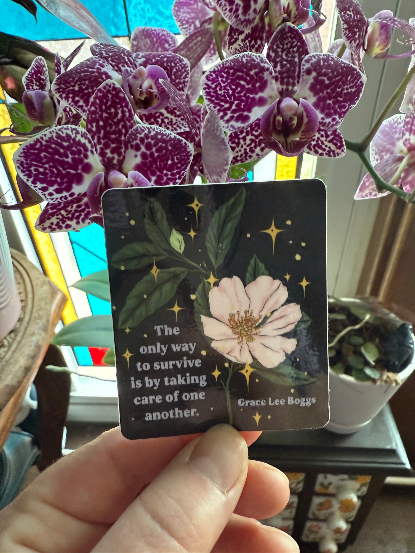 The only way to survive is by taking care of one another, Grace Lee Boggs: Feminist Sticker