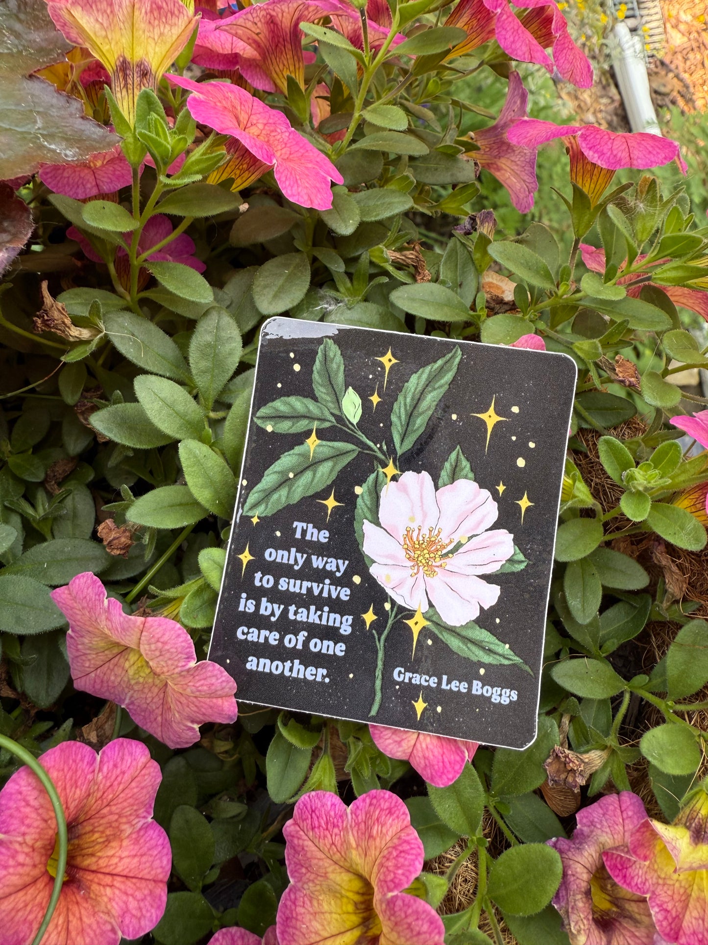 The only way to survive is by taking care of one another, Grace Lee Boggs: Feminist Sticker