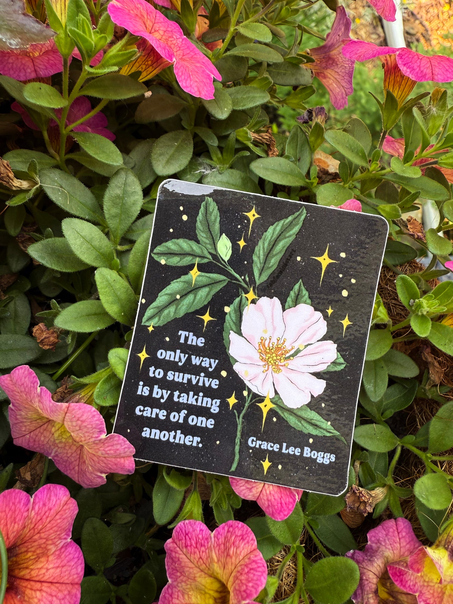 The only way to survive is by taking care of one another, Grace Lee Boggs: Feminist Sticker