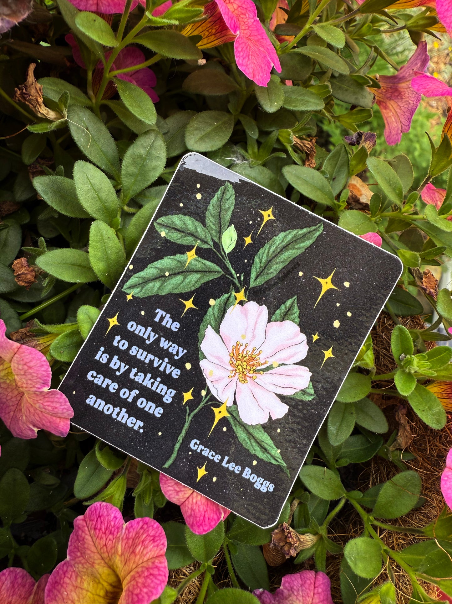 The only way to survive is by taking care of one another, Grace Lee Boggs: Feminist Sticker