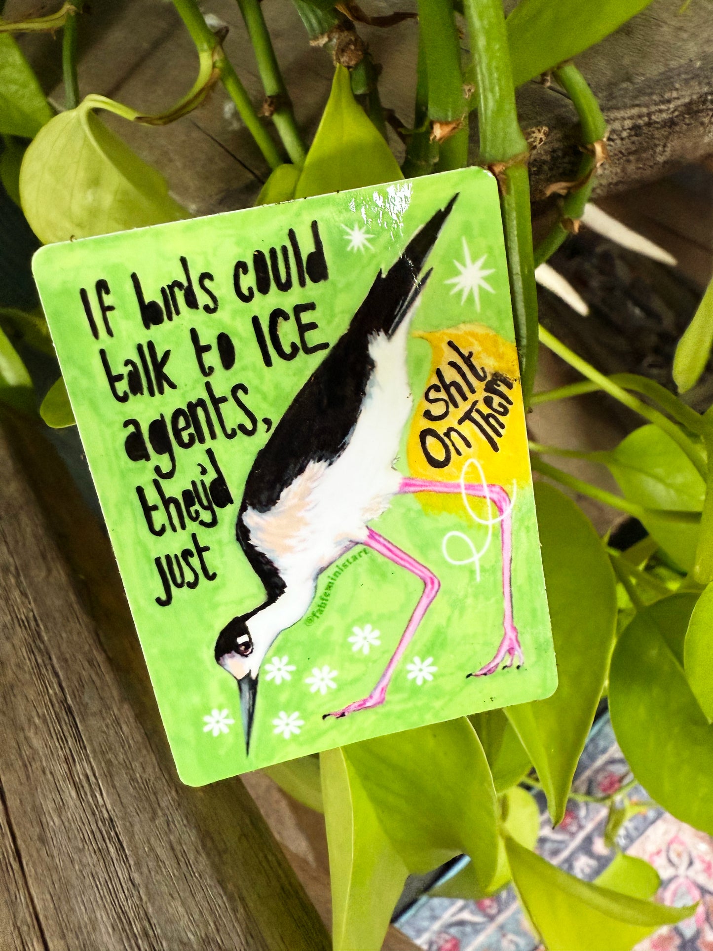 If Birds Could Talk To ICE Agents They'd Just Shit On Them: Feminist Sticker