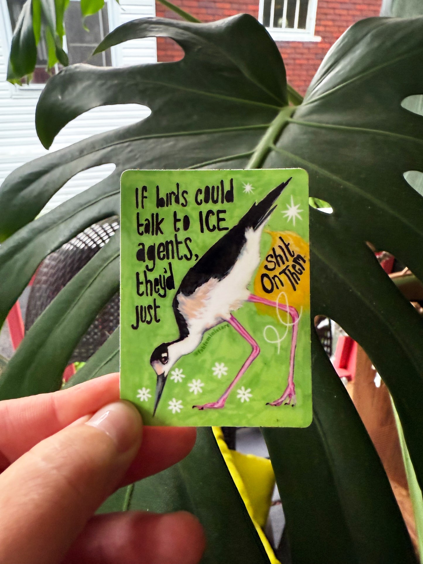 If Birds Could Talk To ICE Agents They'd Just Shit On Them: Feminist Sticker