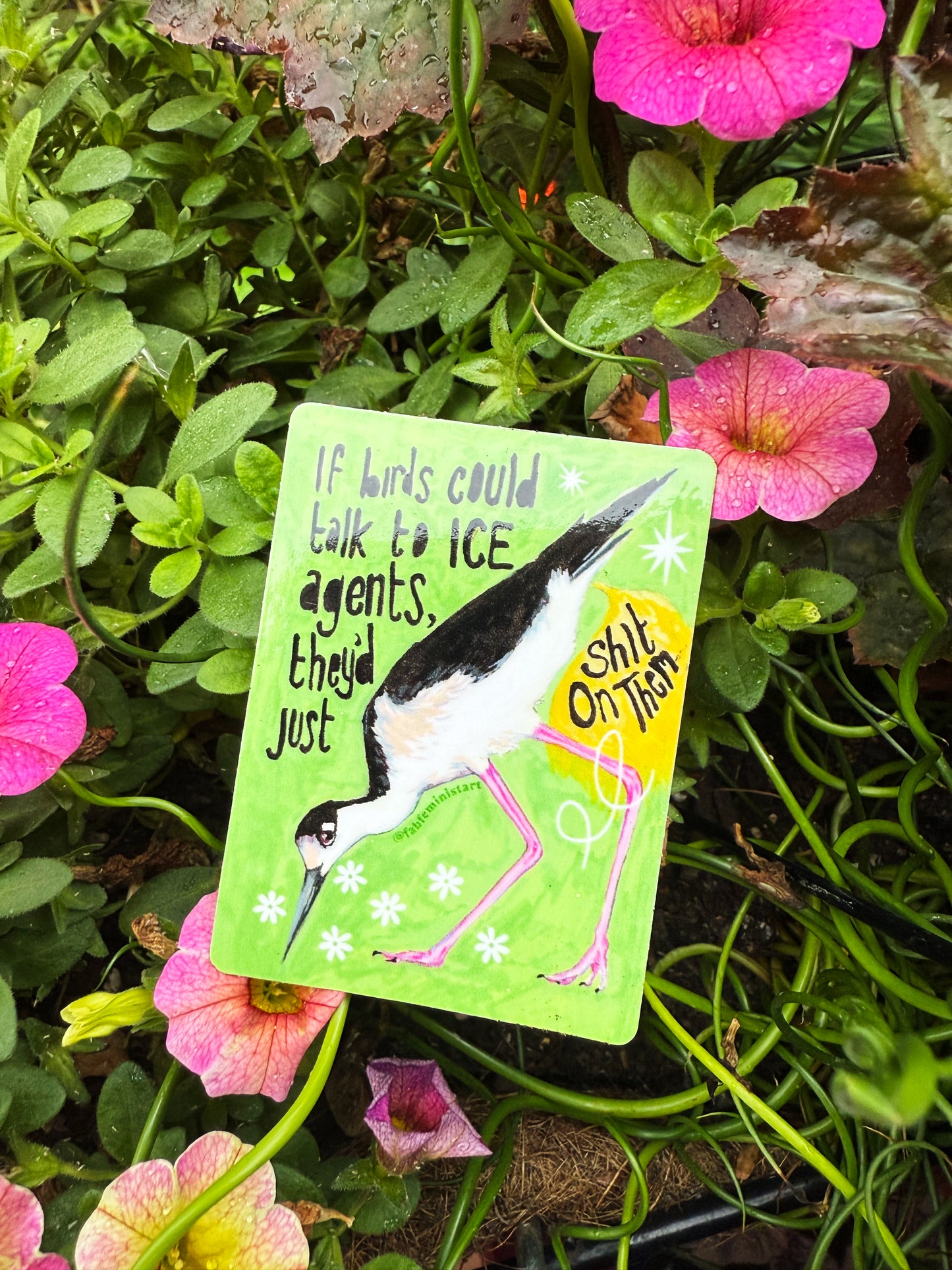 If Birds Could Talk To ICE Agents They'd Just Shit On Them: Feminist Sticker