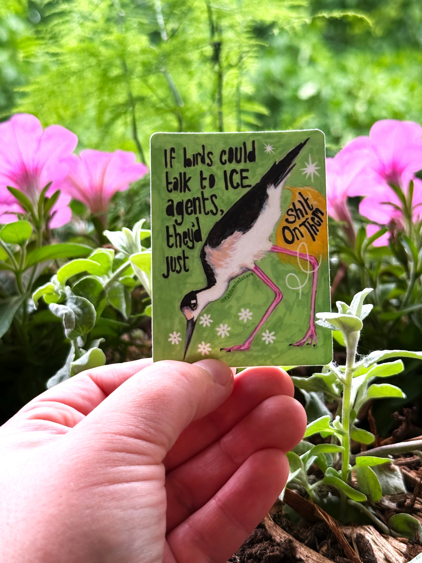 If Birds Could Talk To ICE Agents They'd Just Shit On Them: Feminist Sticker