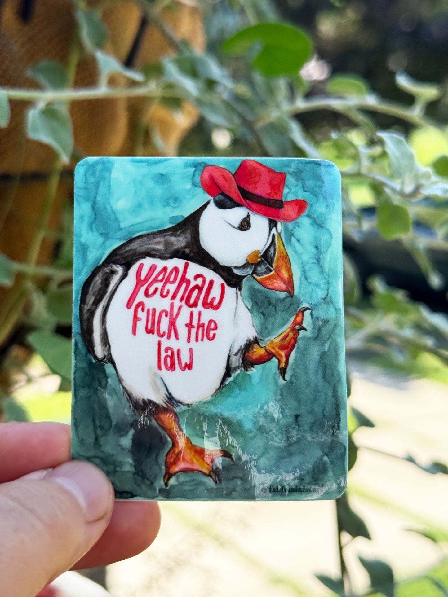 Yeehaw Fuck The Law: Feminist Sticker