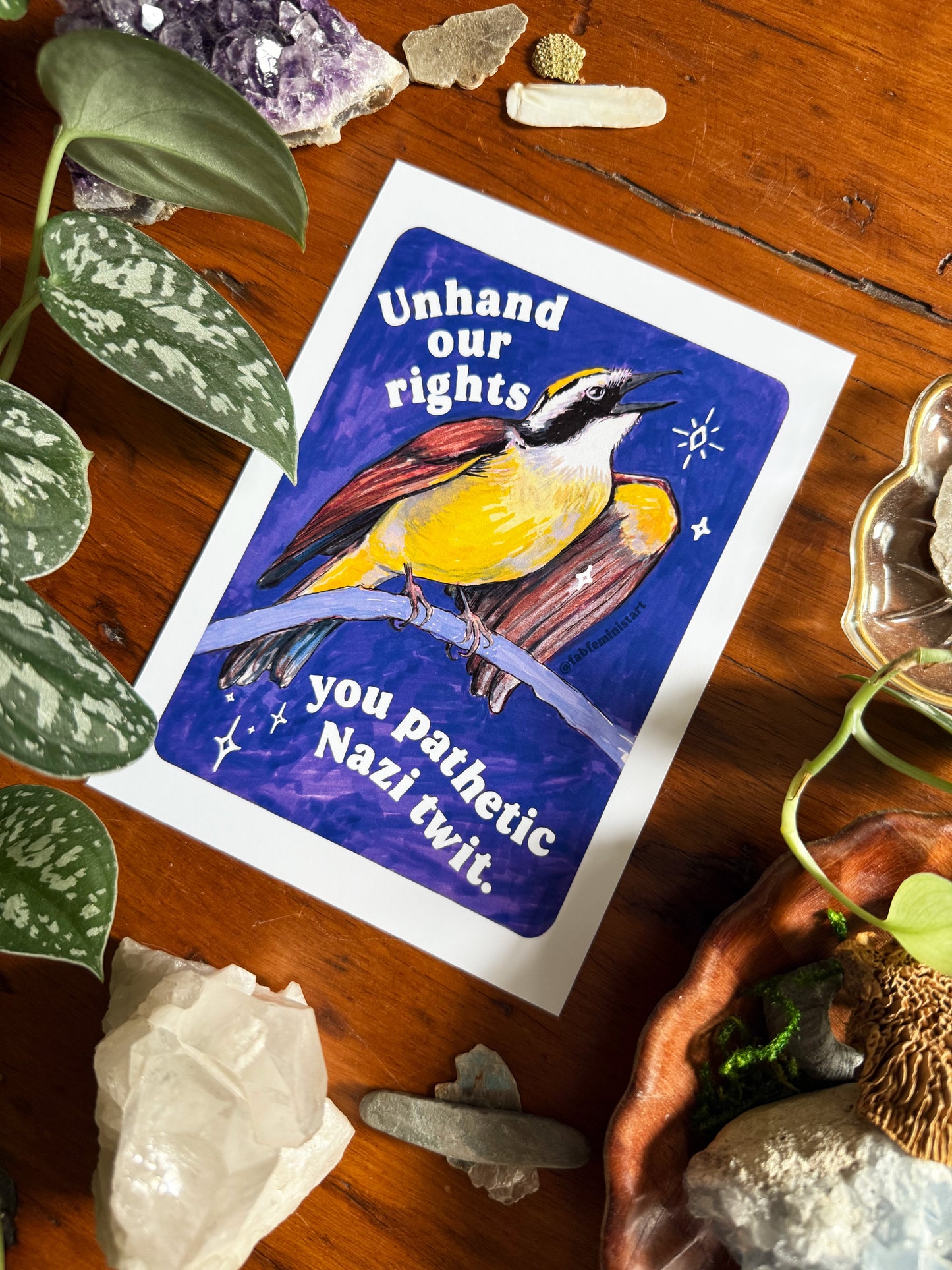 Unhand our rights you nazi twit: feminist art print
