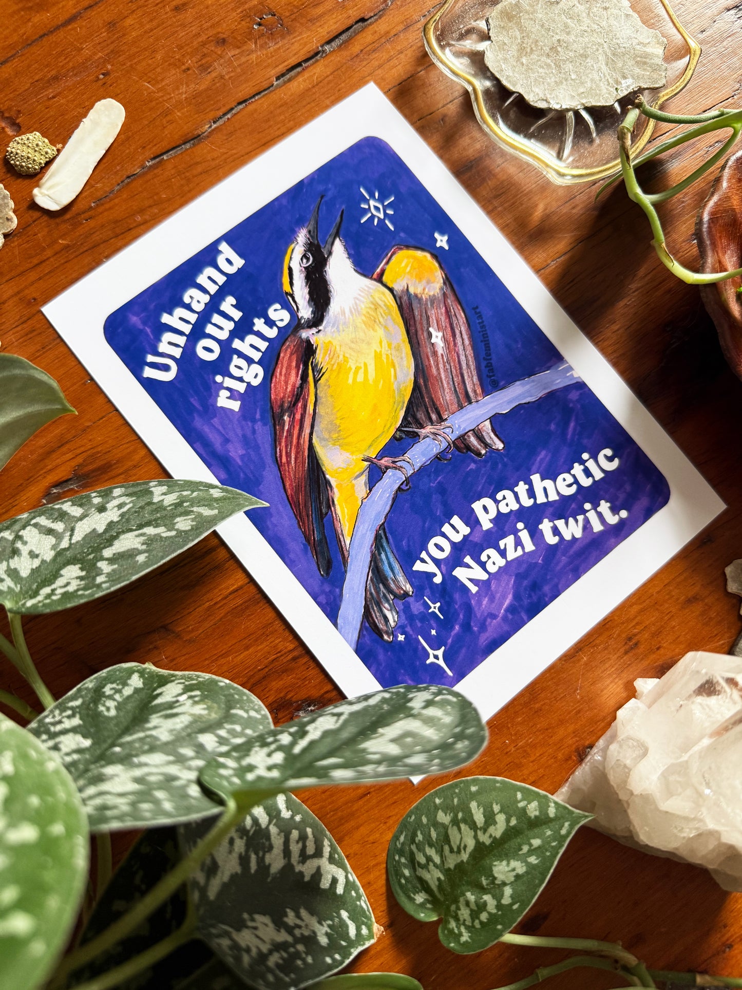 Unhand our rights you nazi twit: feminist art print