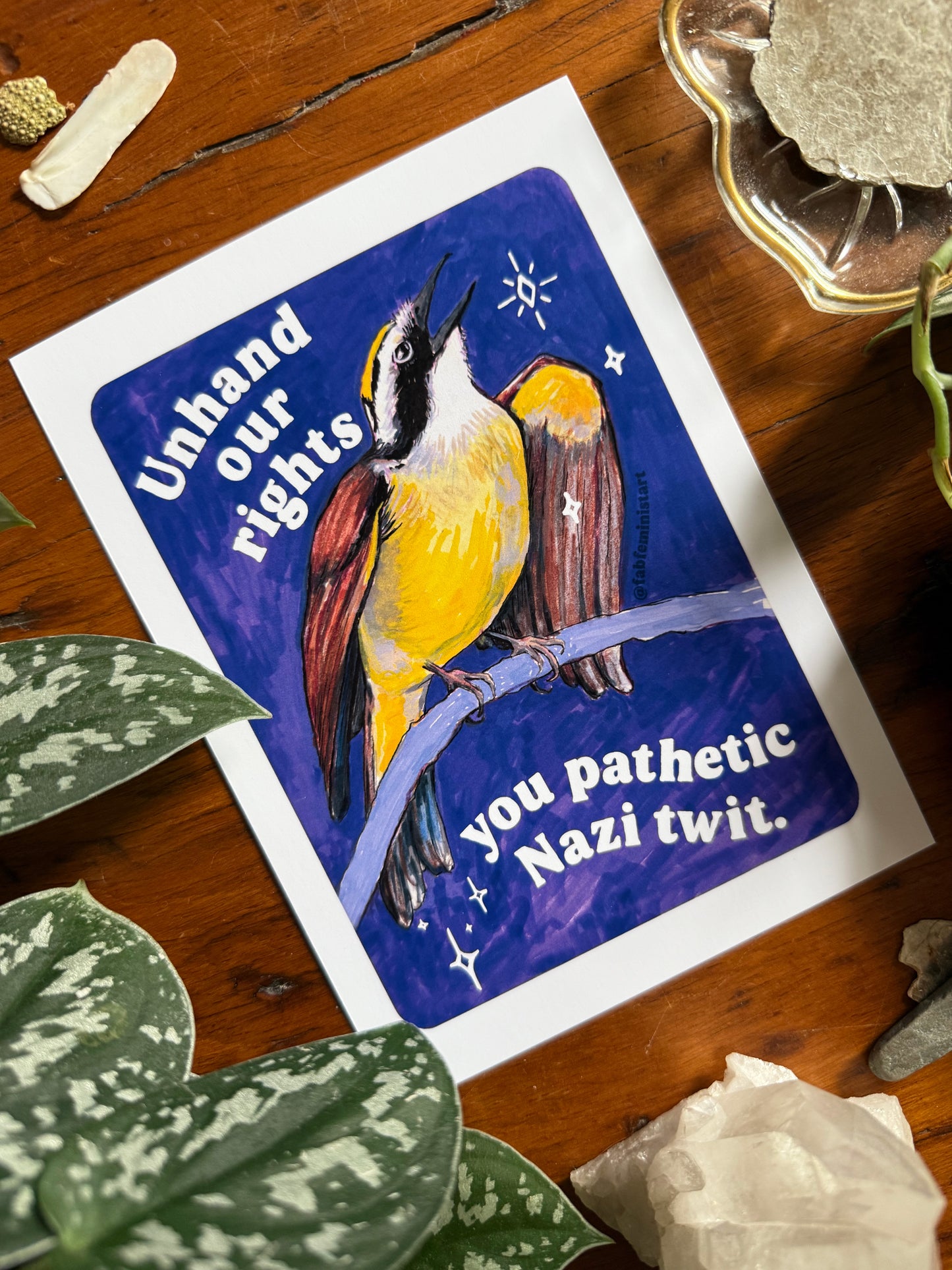Unhand our rights you nazi twit: feminist art print