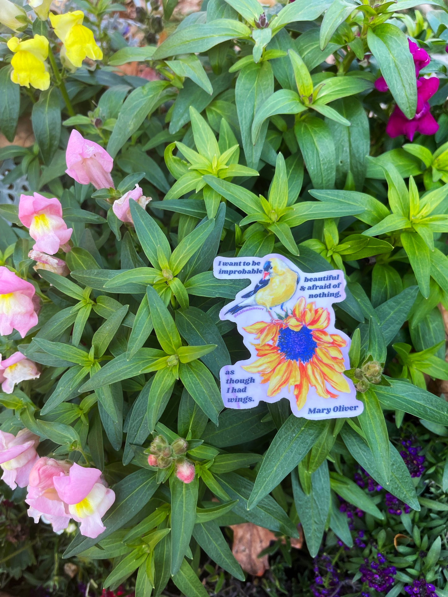 I Want To Be Improbable, beautiful and afraid of nothing, Mary Oliver: Feminist Sticker