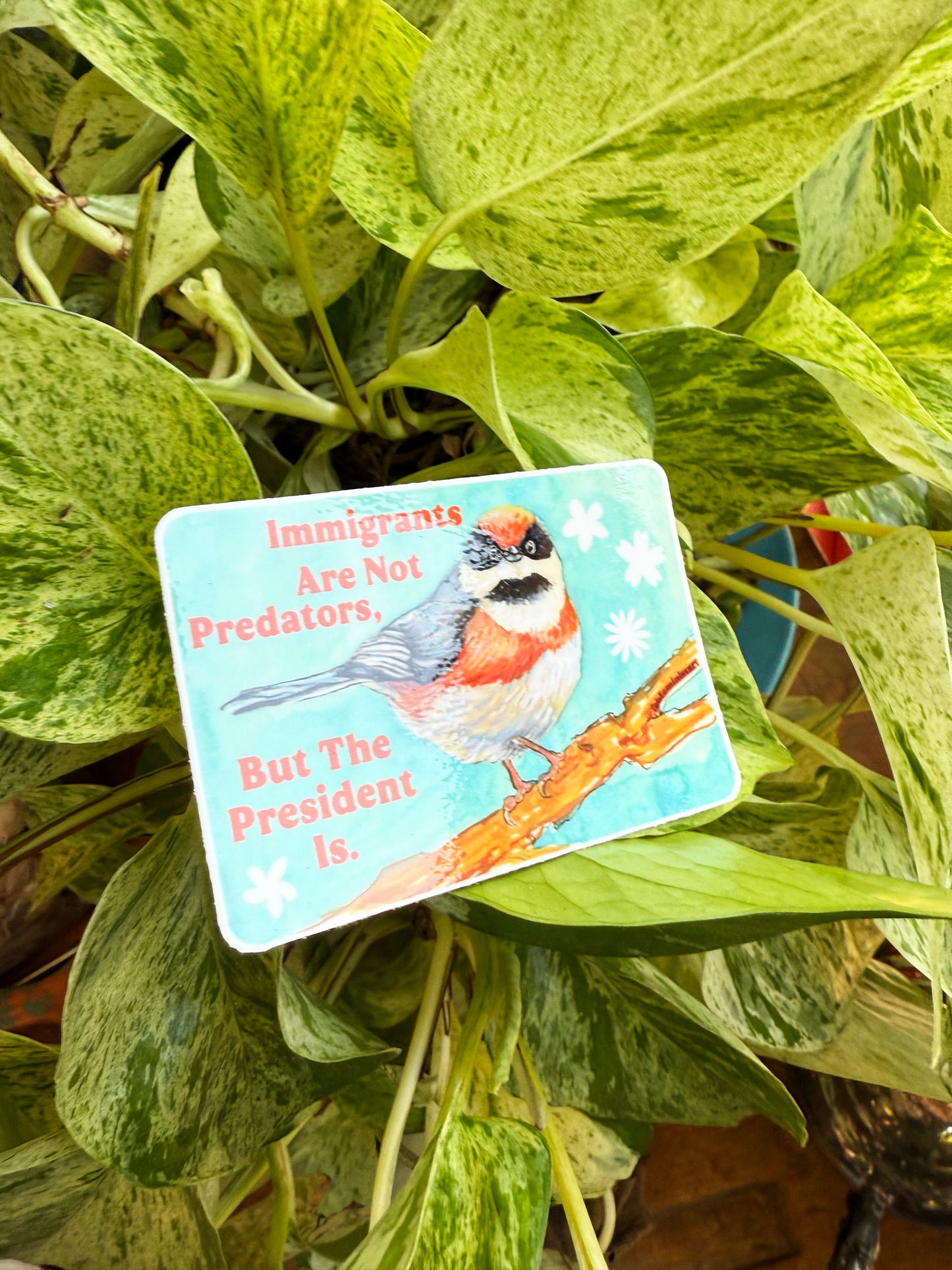 Immigrants Aren't Predators But The President Is: Feminist Sticker