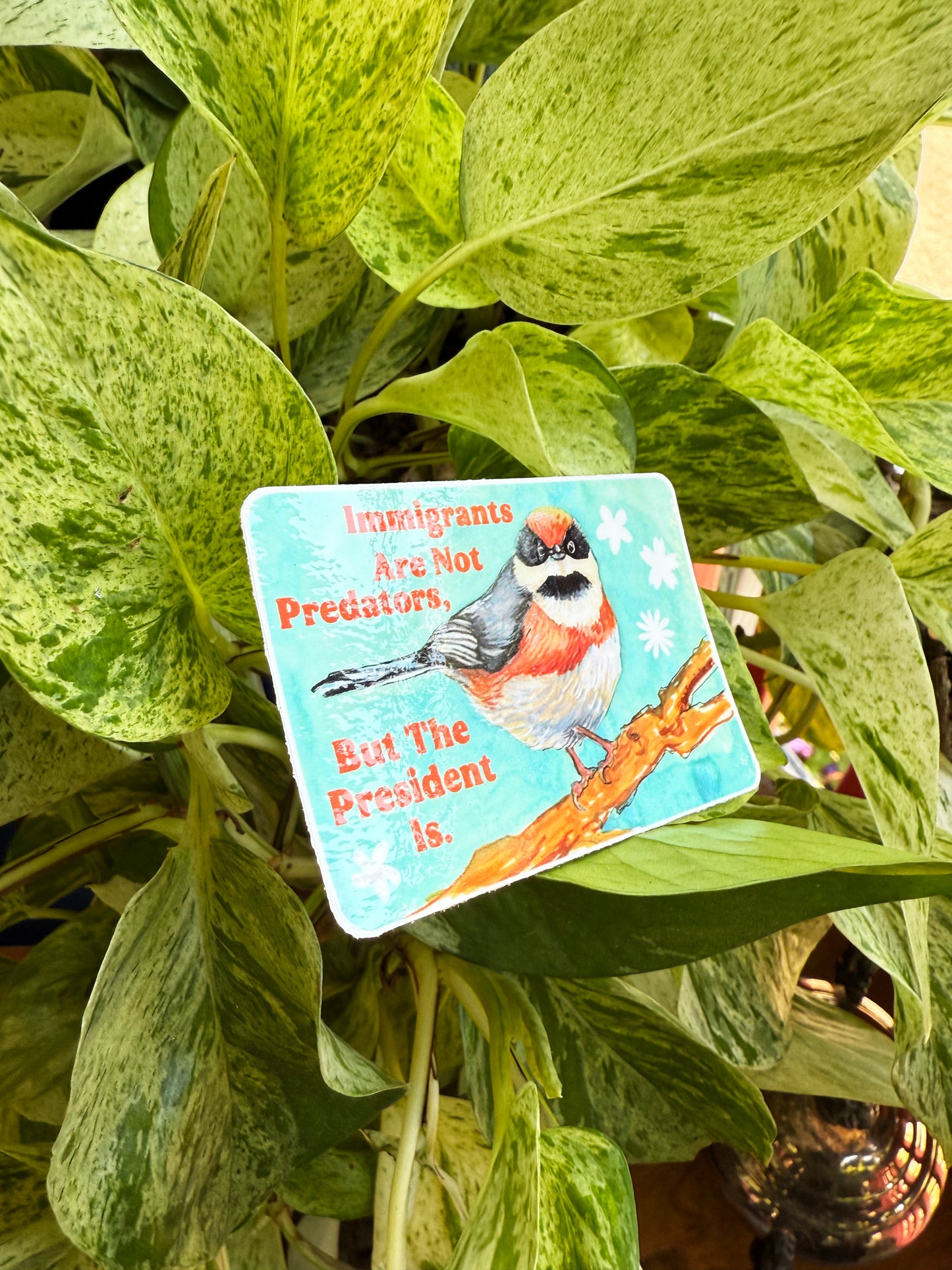Immigrants Aren't Predators But The President Is: Feminist Sticker