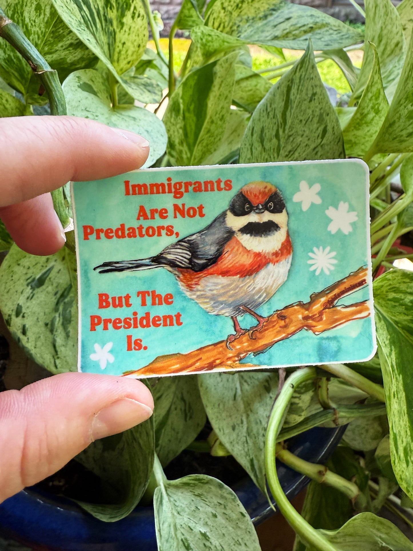 Immigrants Aren't Predators But The President Is: Feminist Sticker