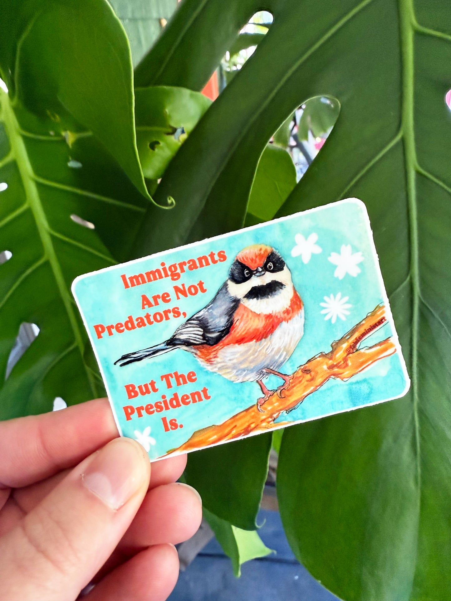 Immigrants Aren't Predators But The President Is: Feminist Sticker