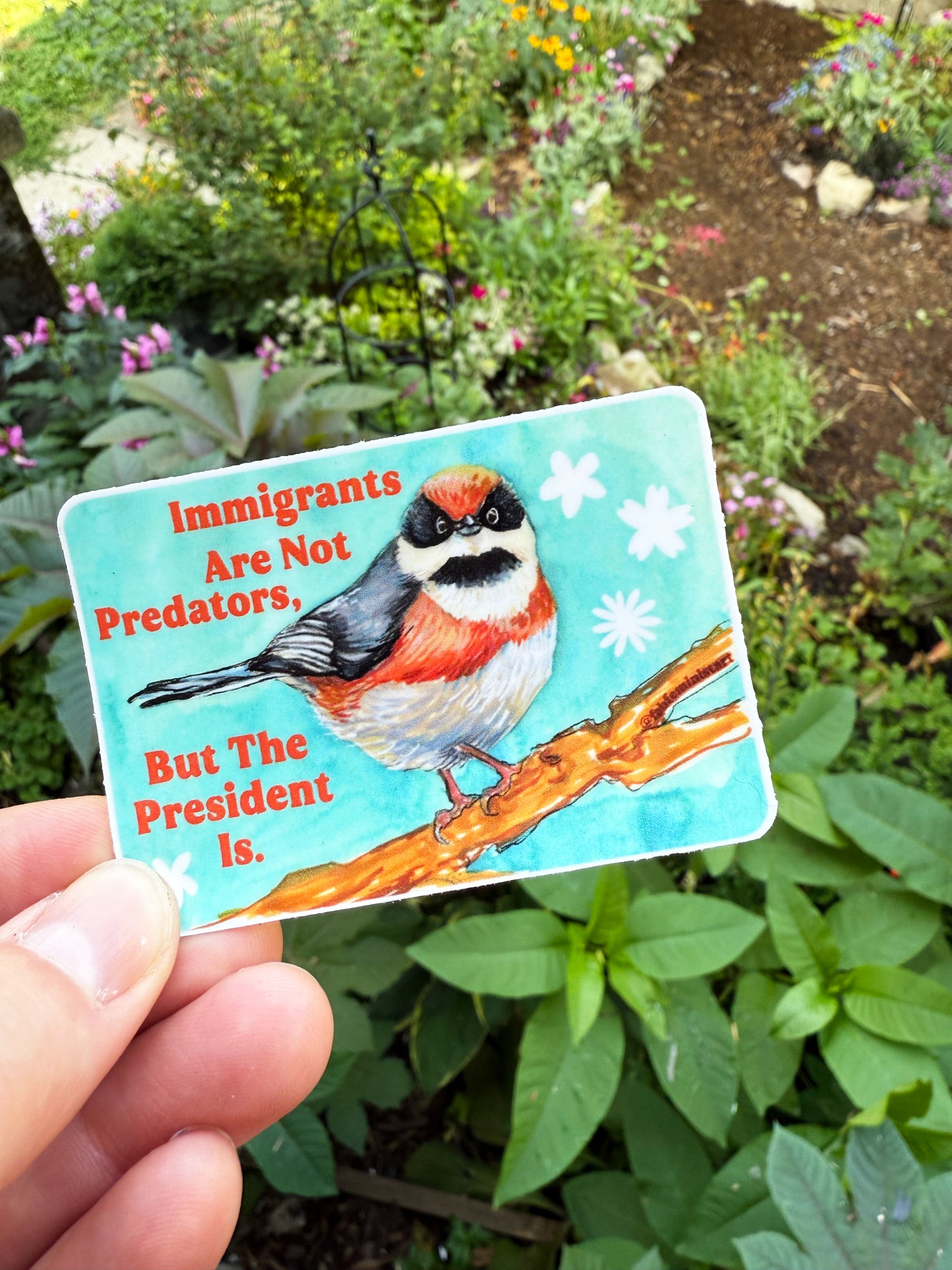 Immigrants Aren't Predators But The President Is: Feminist Sticker