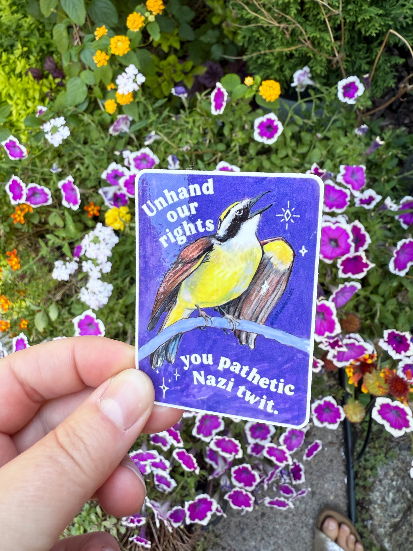 Unhand Our Rights You Nazi Twit: Feminist Sticker