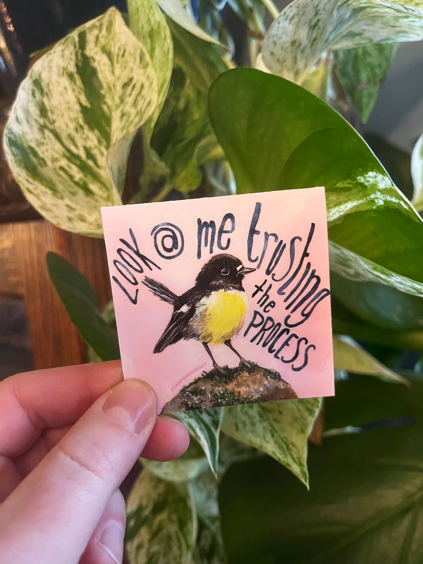Look At Me Trusting The Process: Mental Health Sticker