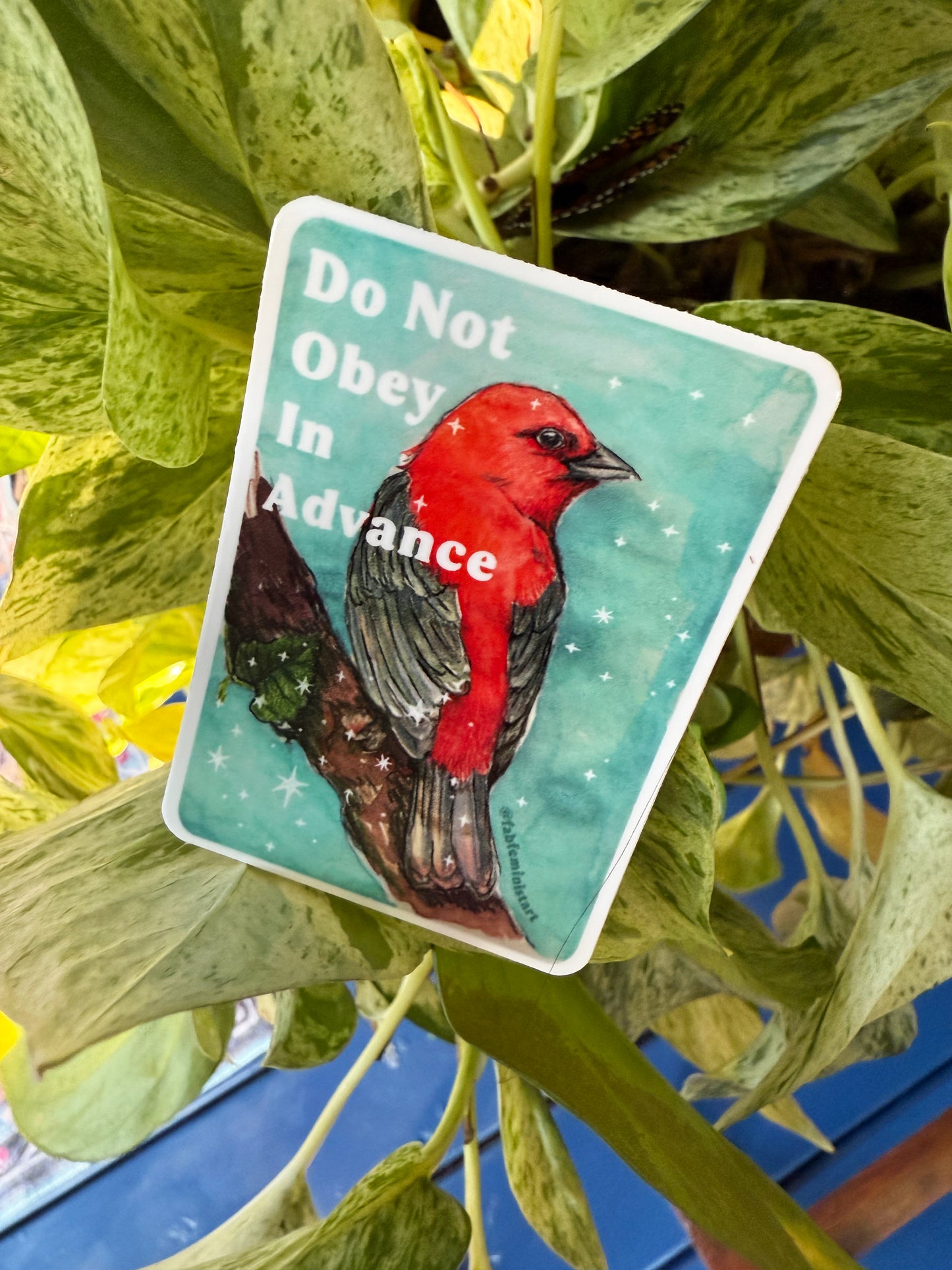 Do Not Obey In Advance: feminist sticker