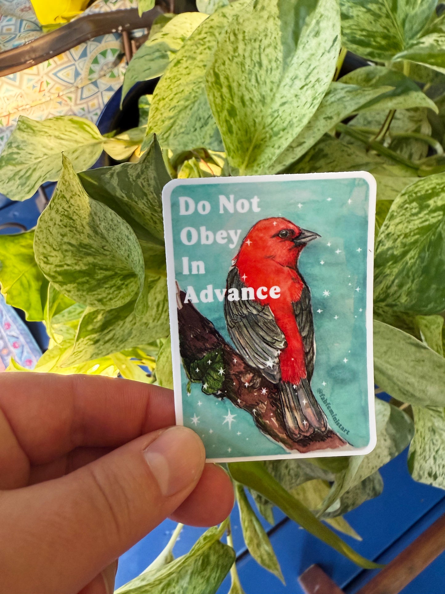 Do Not Obey In Advance: feminist sticker