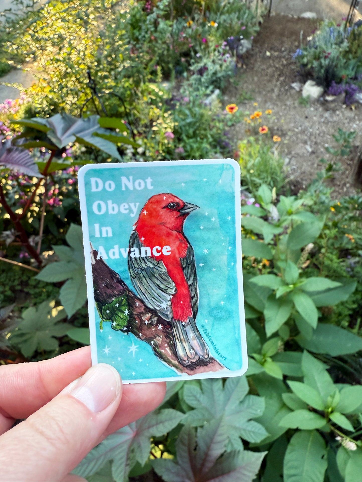 Do Not Obey In Advance: feminist sticker