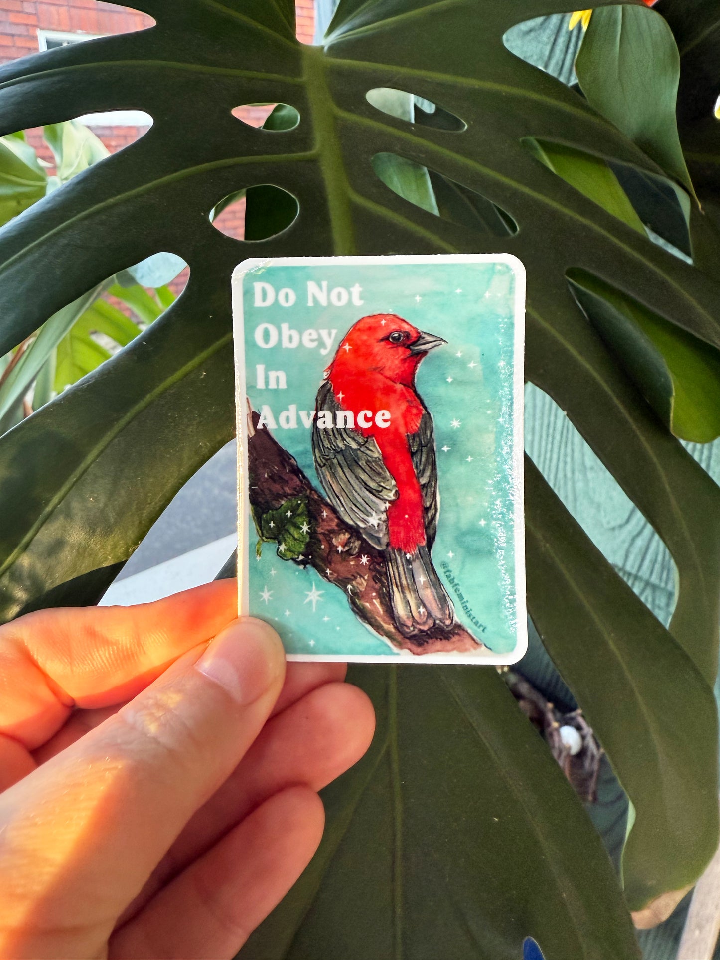 Do Not Obey In Advance: feminist sticker