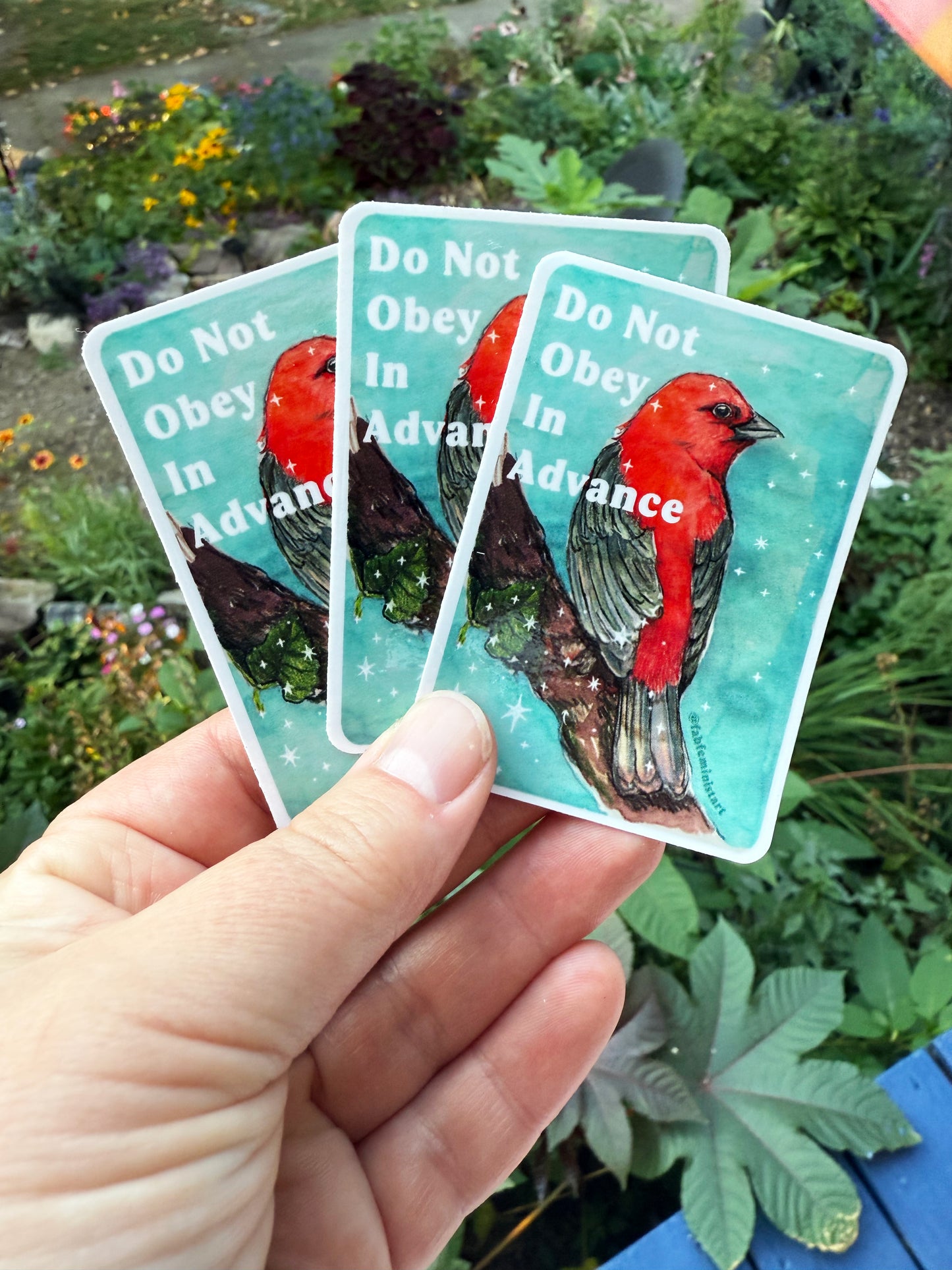 Do Not Obey In Advance: feminist sticker