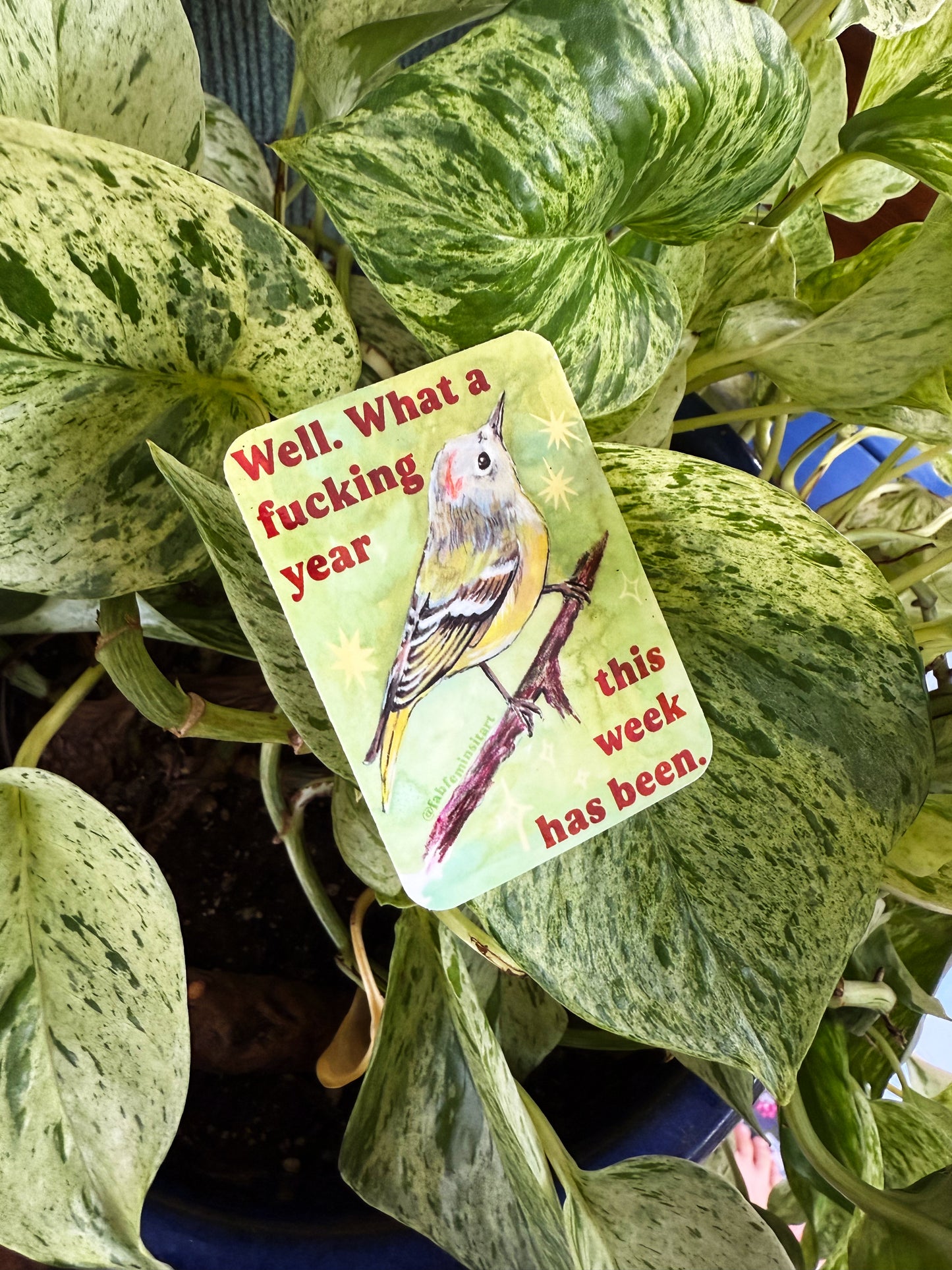 Well what a fucking year this week has been: Feminist sticker