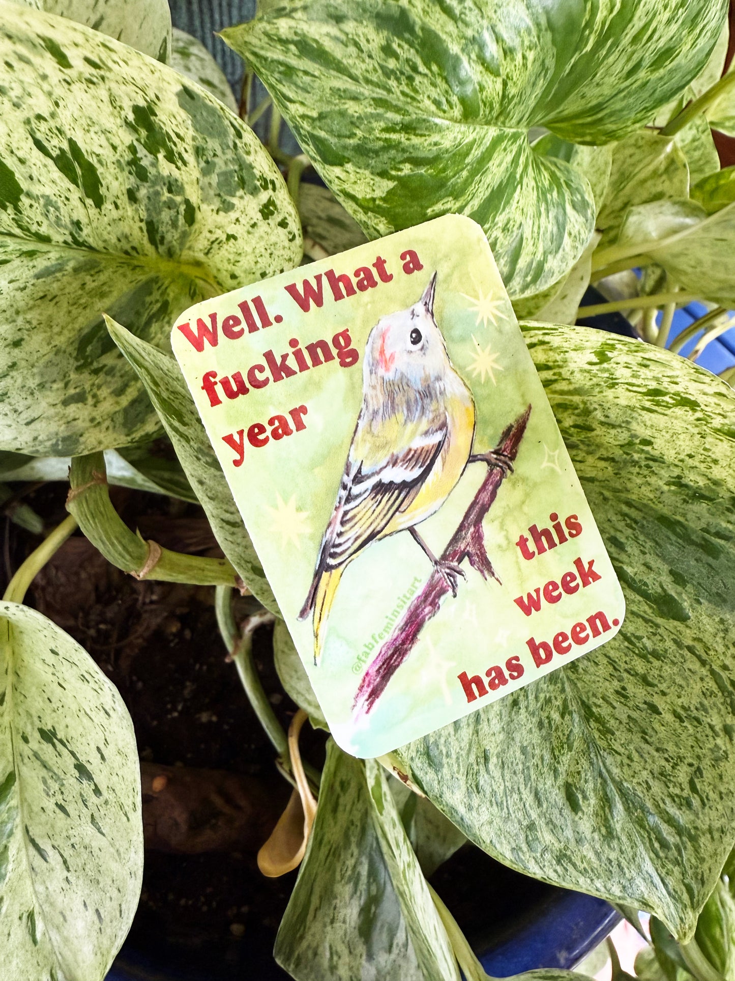 Well what a fucking year this week has been: Feminist sticker