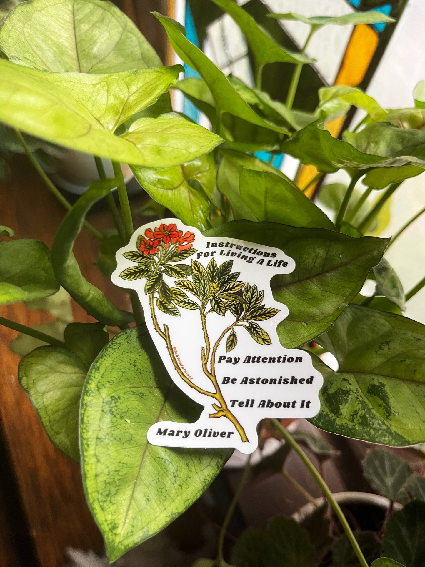 Instructions For Living A Life, Mary Oliver: Feminist Sticker