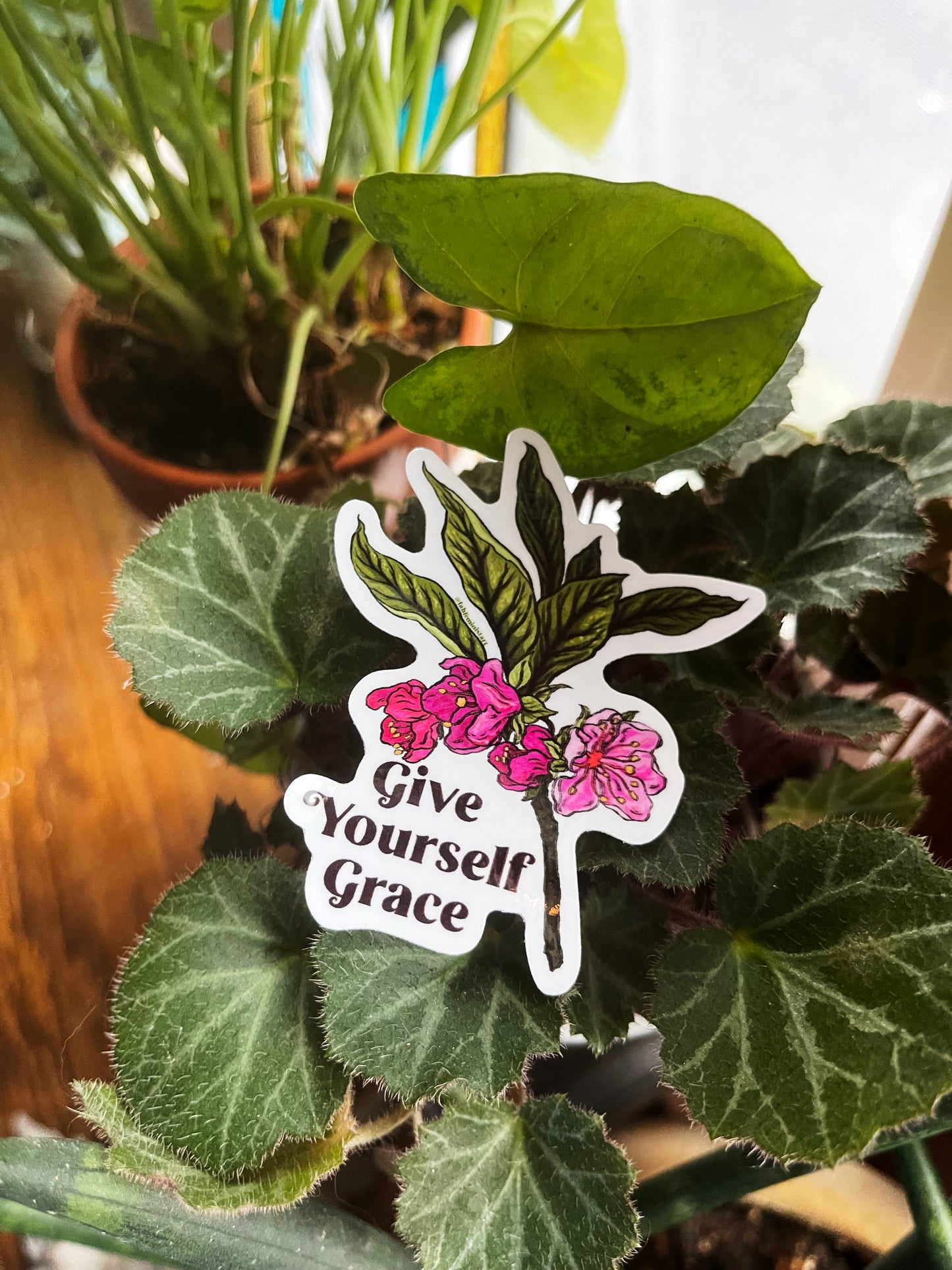 Give Yourself Grace: Mental Health Sticker