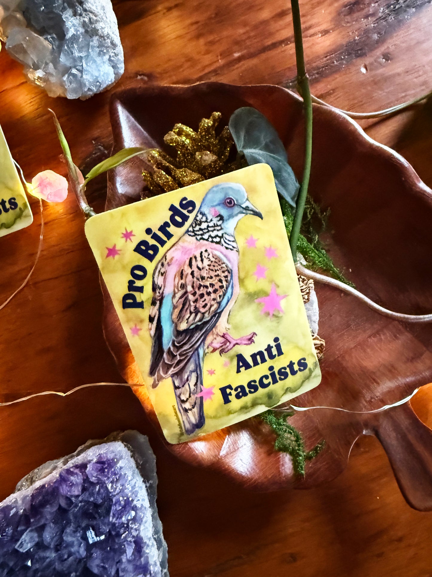 Pro Birds Anti Fascists: feminist sticker