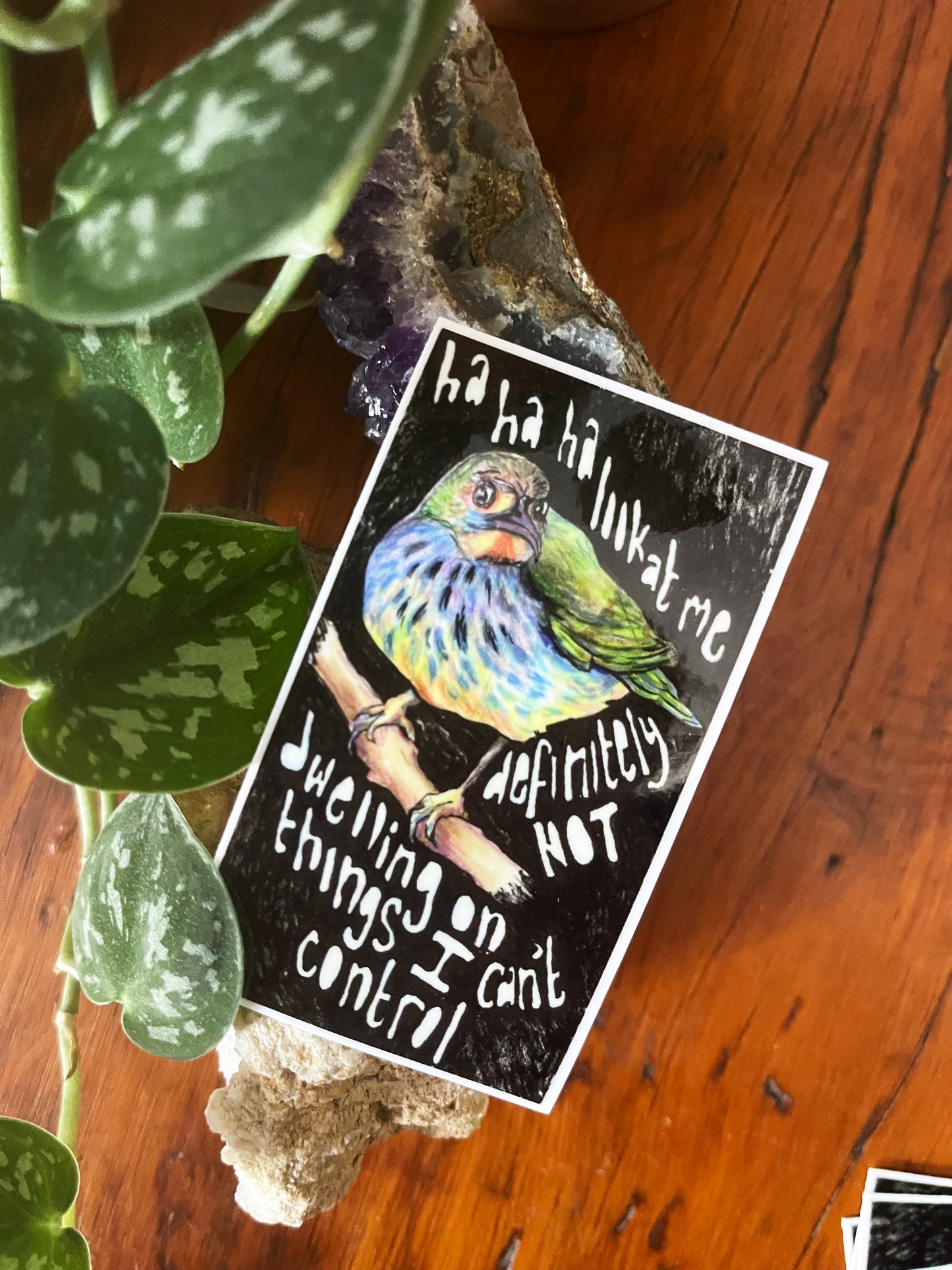 Haha Look At Me Definitely Not Dwelling On Things I Can't Control: Mental Health Sticker