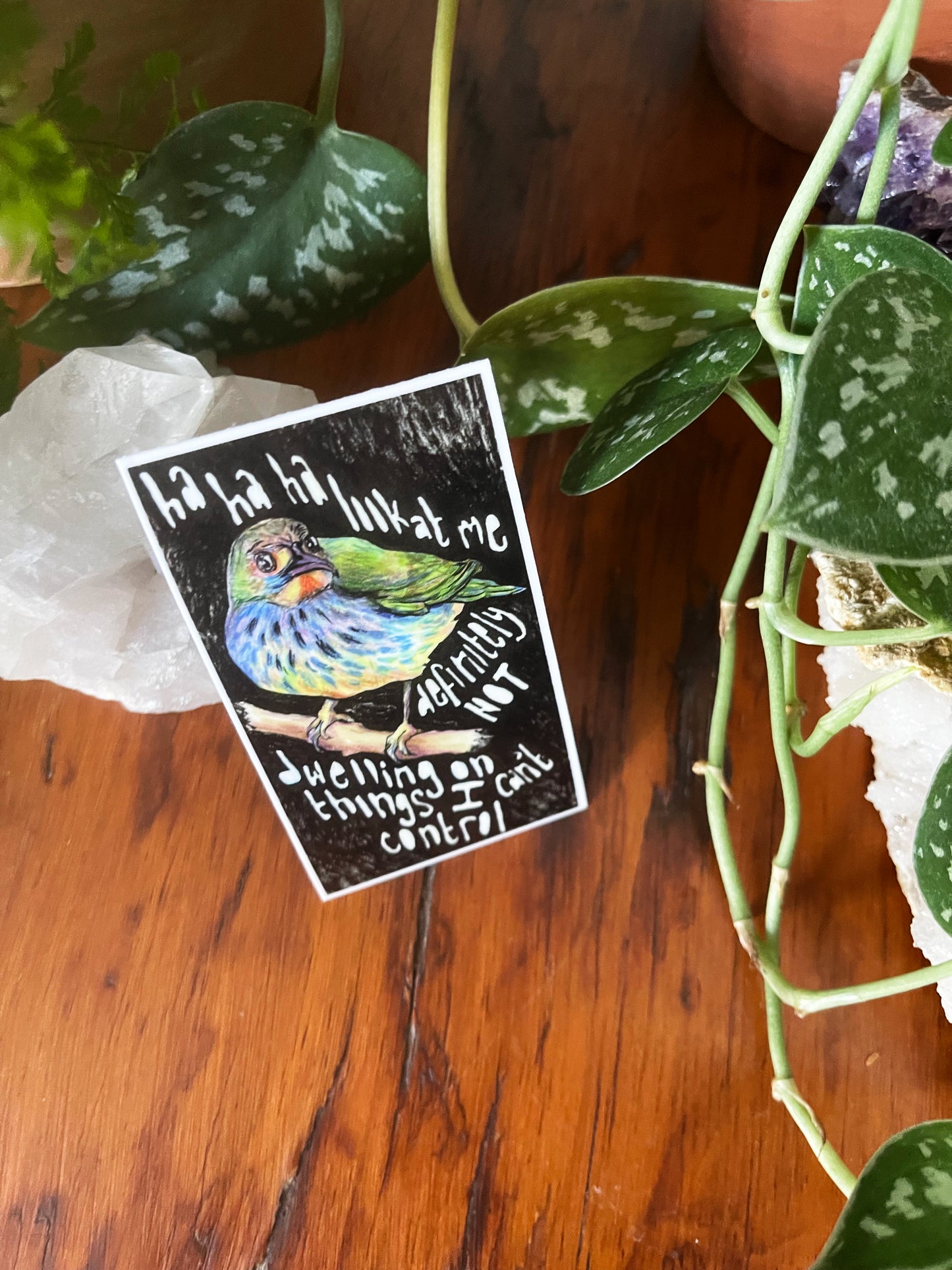 Haha Look At Me Definitely Not Dwelling On Things I Can't Control: Mental Health Sticker
