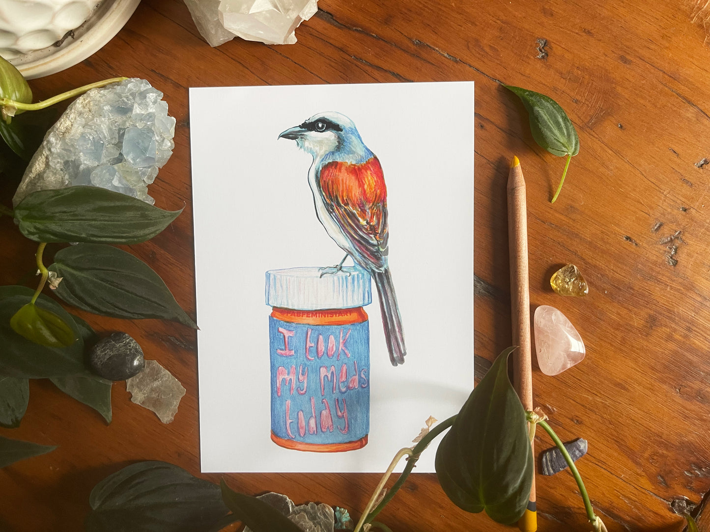 I took My Meds Today: Mental Health Art Print