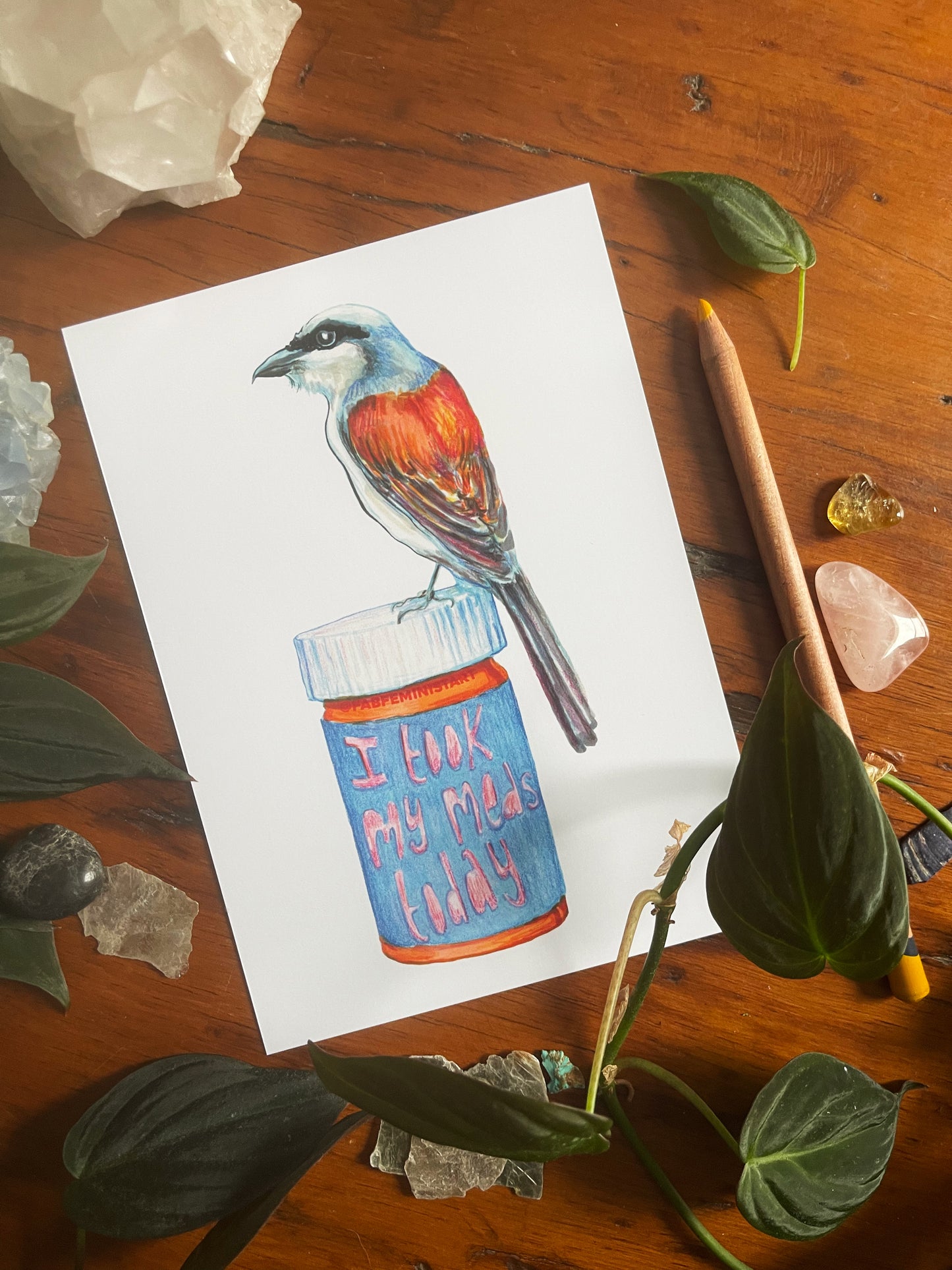 I took My Meds Today: Mental Health Art Print
