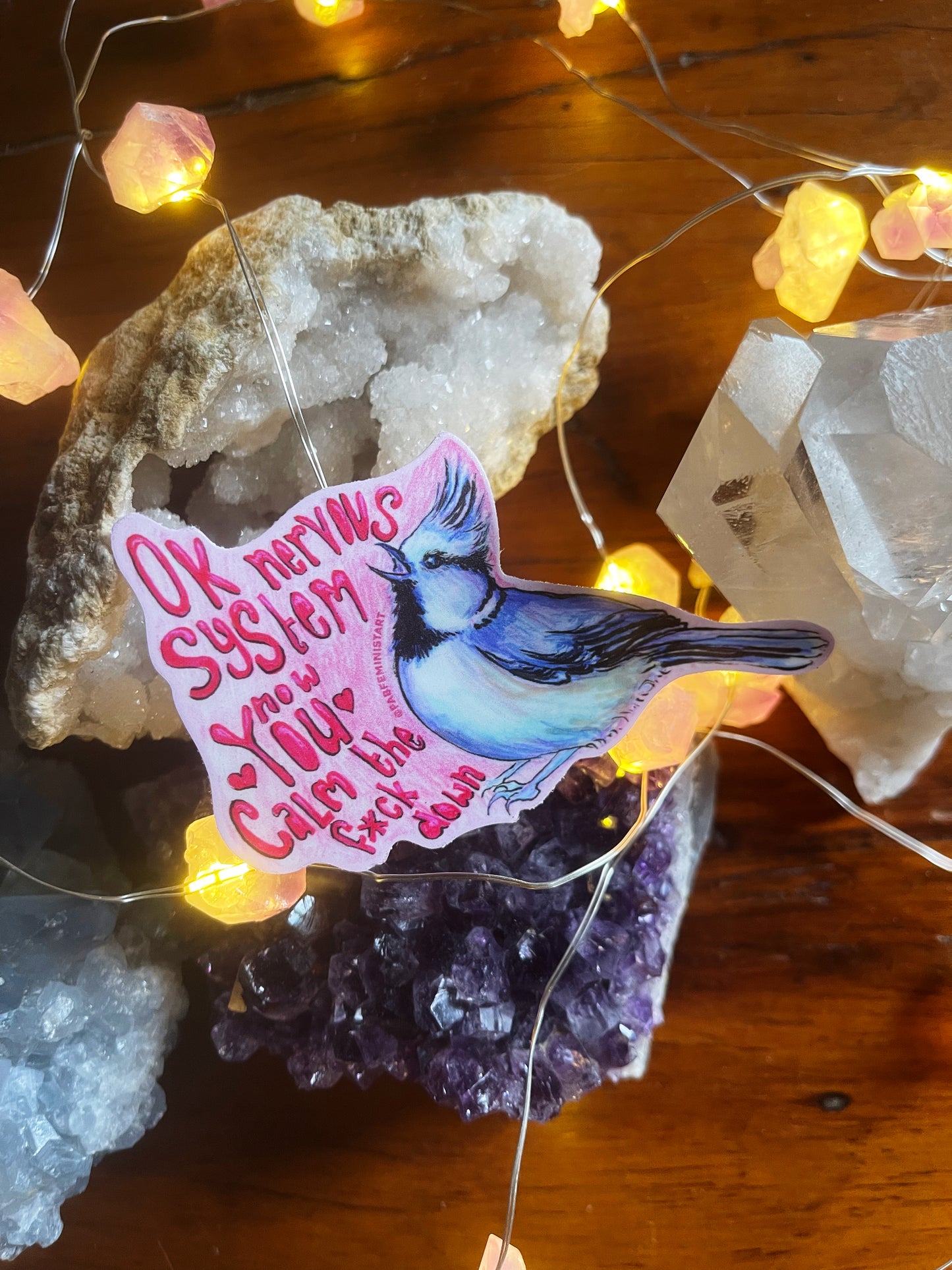 Ok Nervous System Now You Calm The F*ck Down: Mental Health Sticker