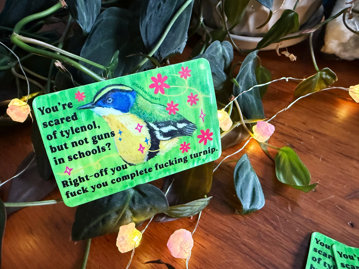 You're scared of tylenol but not guns in schools: feminist sticker
