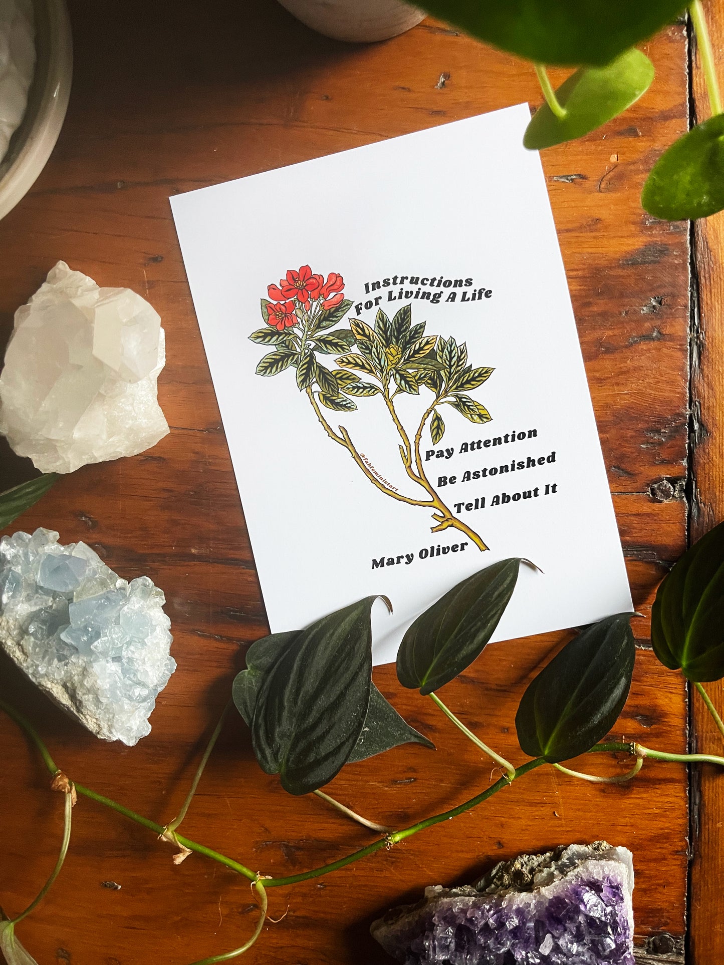 Instructions For Living A Life, Mary Oliver: Mental Health Poster
