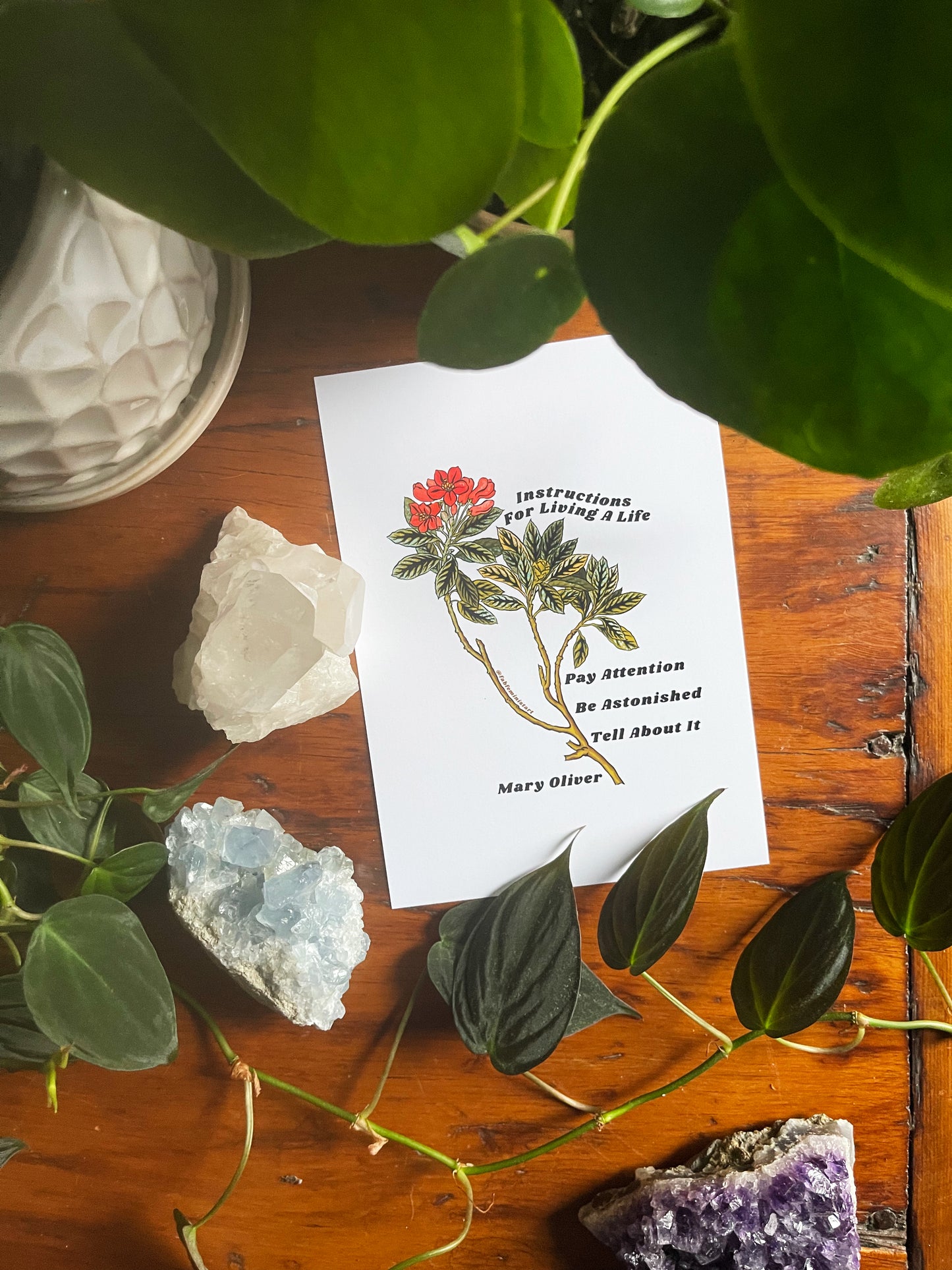 Instructions For Living A Life, Mary Oliver: Mental Health Poster