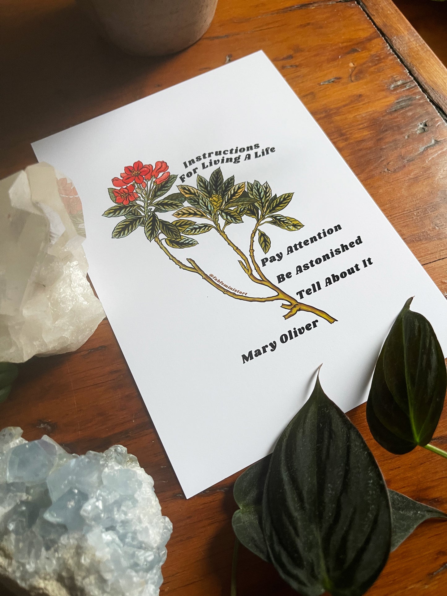 Instructions For Living A Life, Mary Oliver: Mental Health Poster