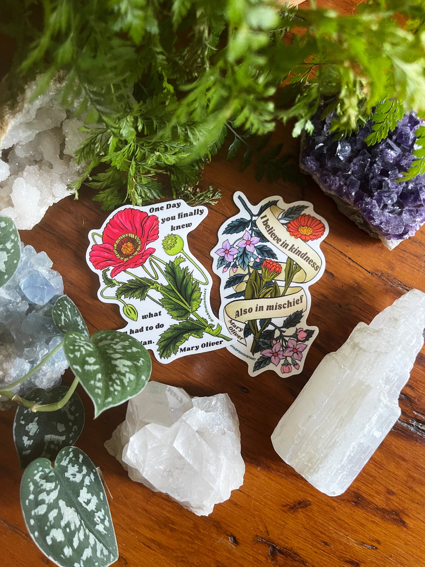 I believe in kindness, mischief also, Mary Oliver: Feminist Sticker
