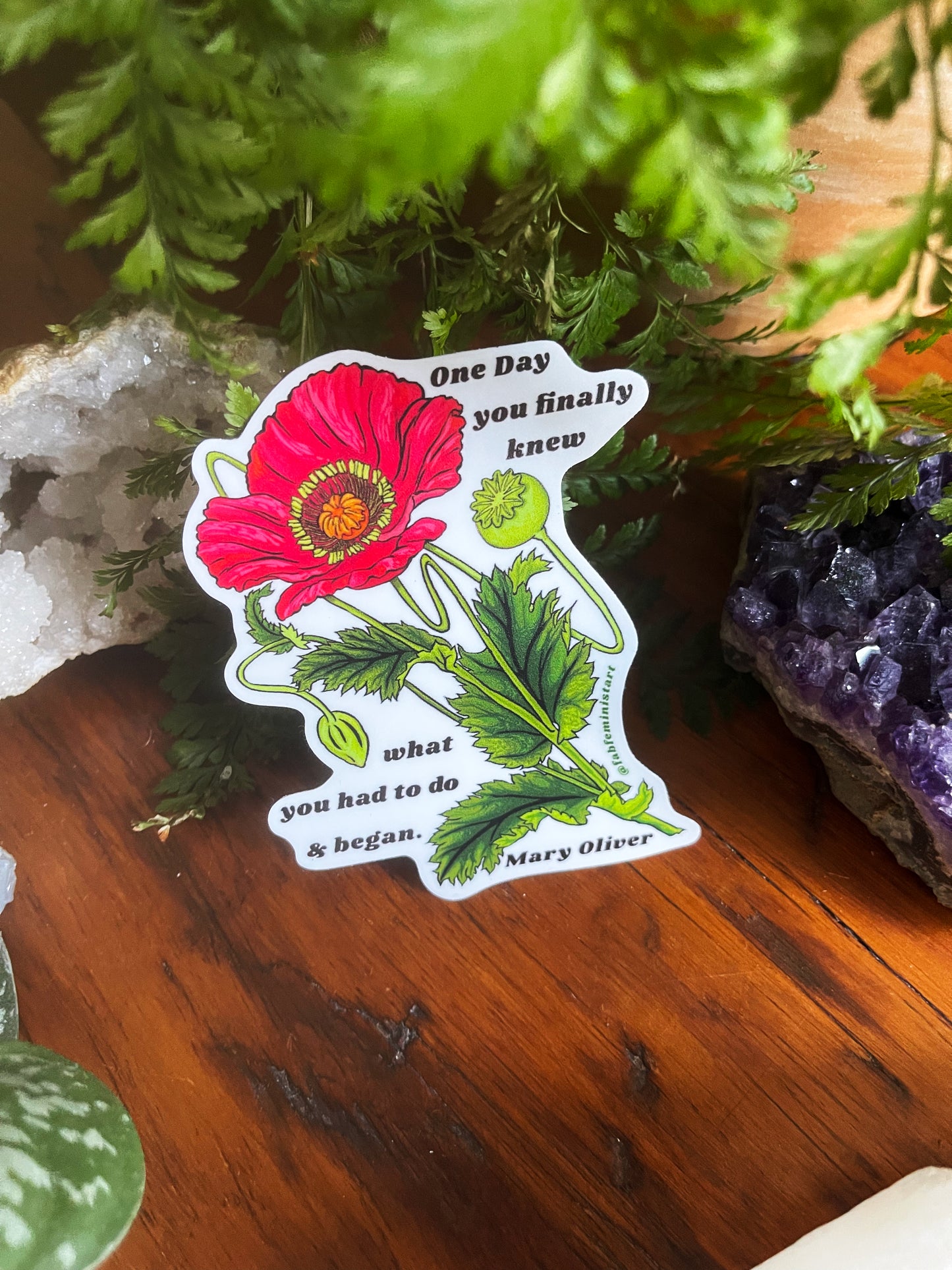 One Day You Finally Knew What You Had To Do And Began, Mary Oliver: Feminist Sticker