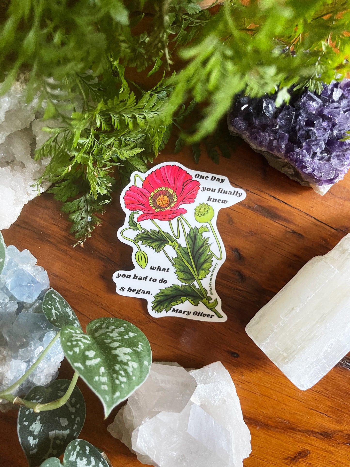 One Day You Finally Knew What You Had To Do And Began, Mary Oliver: Feminist Sticker