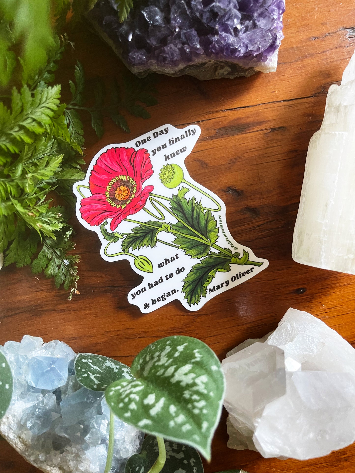 One Day You Finally Knew What You Had To Do And Began, Mary Oliver: Feminist Sticker