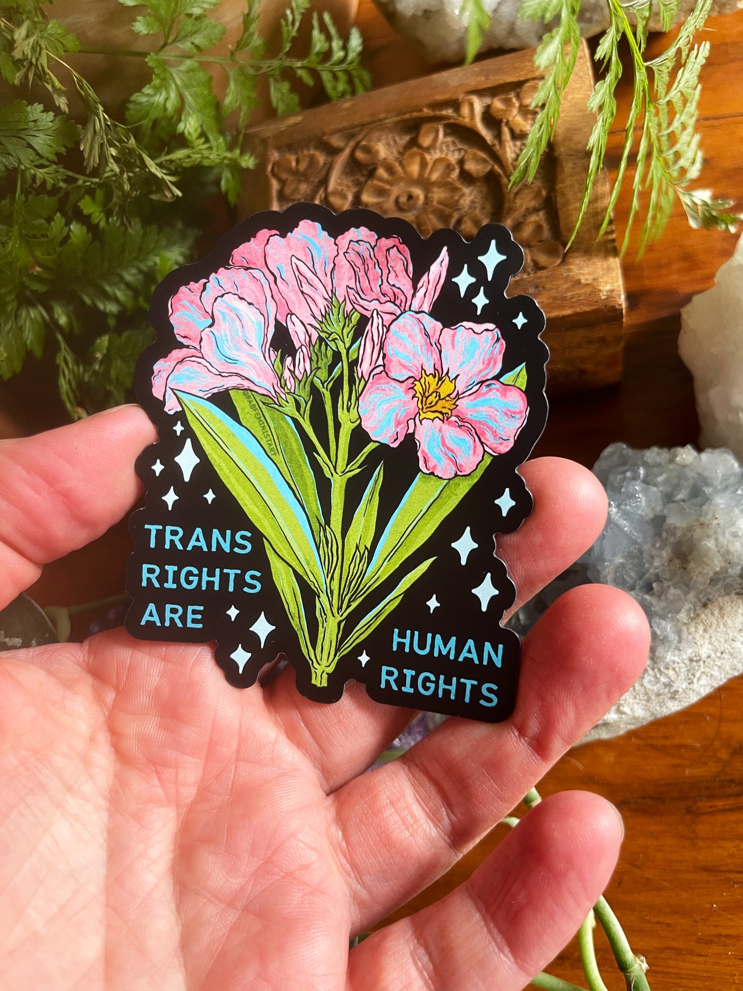 Trans Rights Are Human Rights
