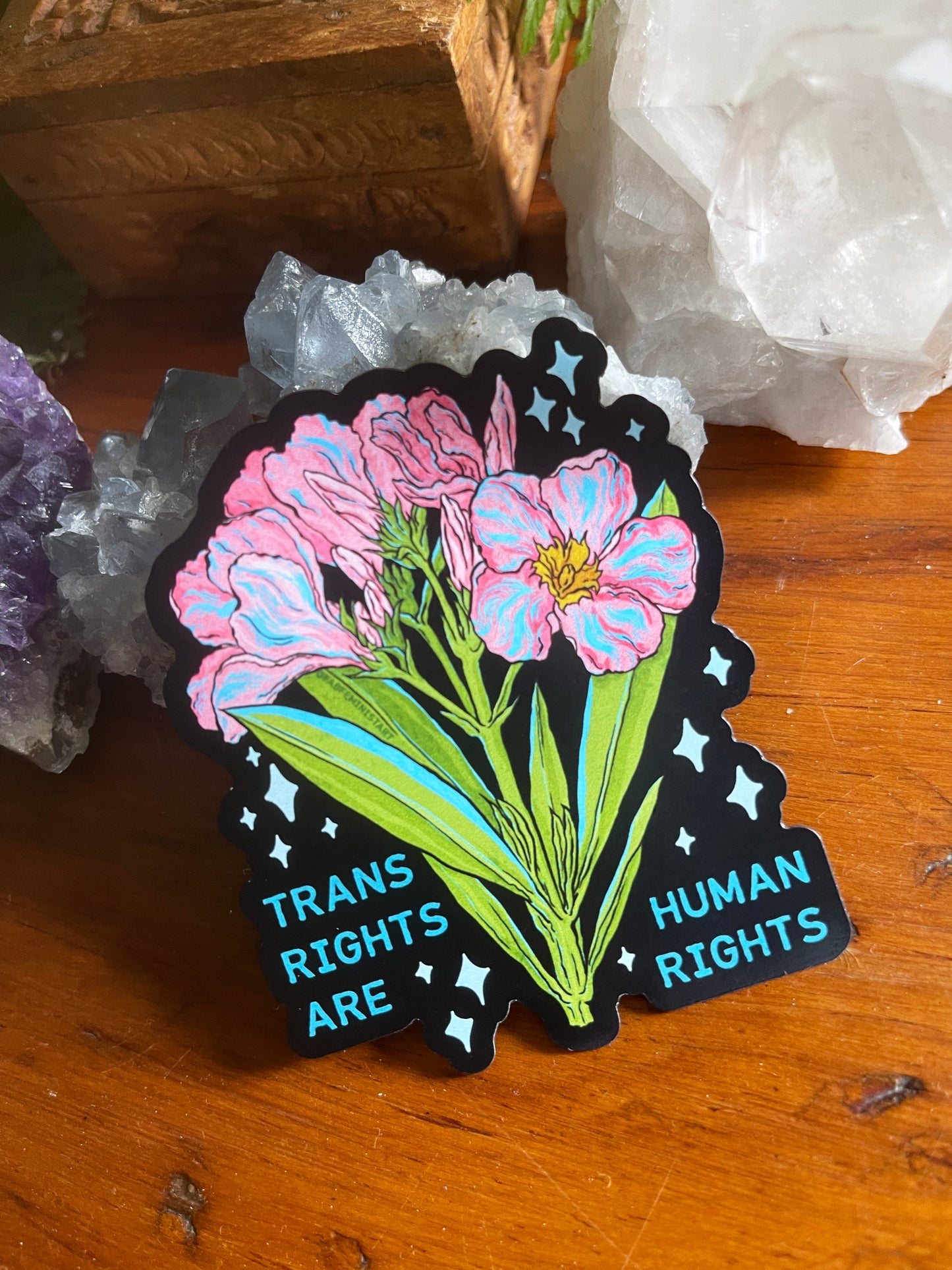 Trans Rights Are Human Rights